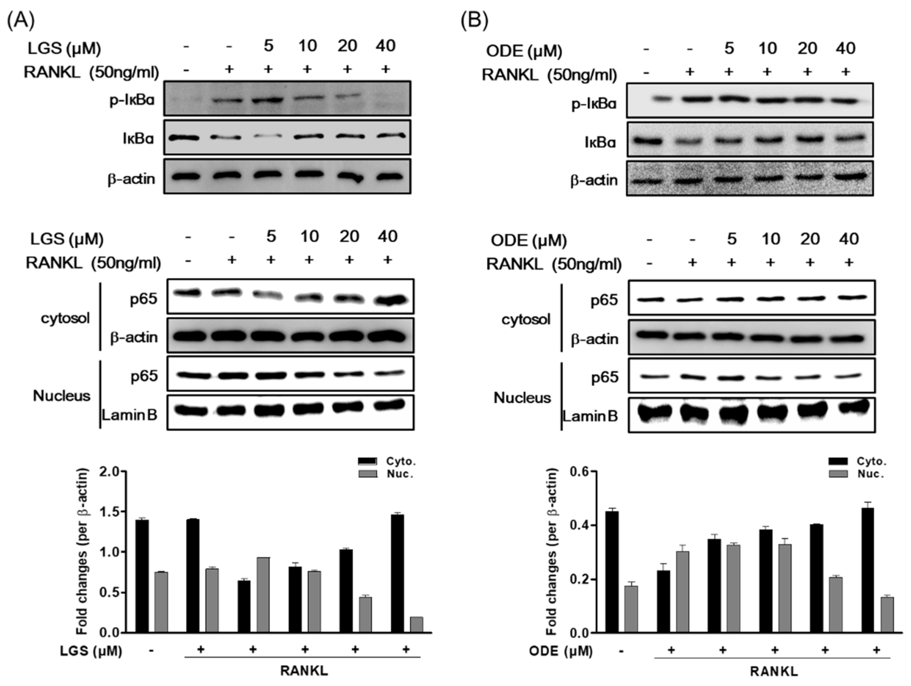 Molecules 26 01779 g007