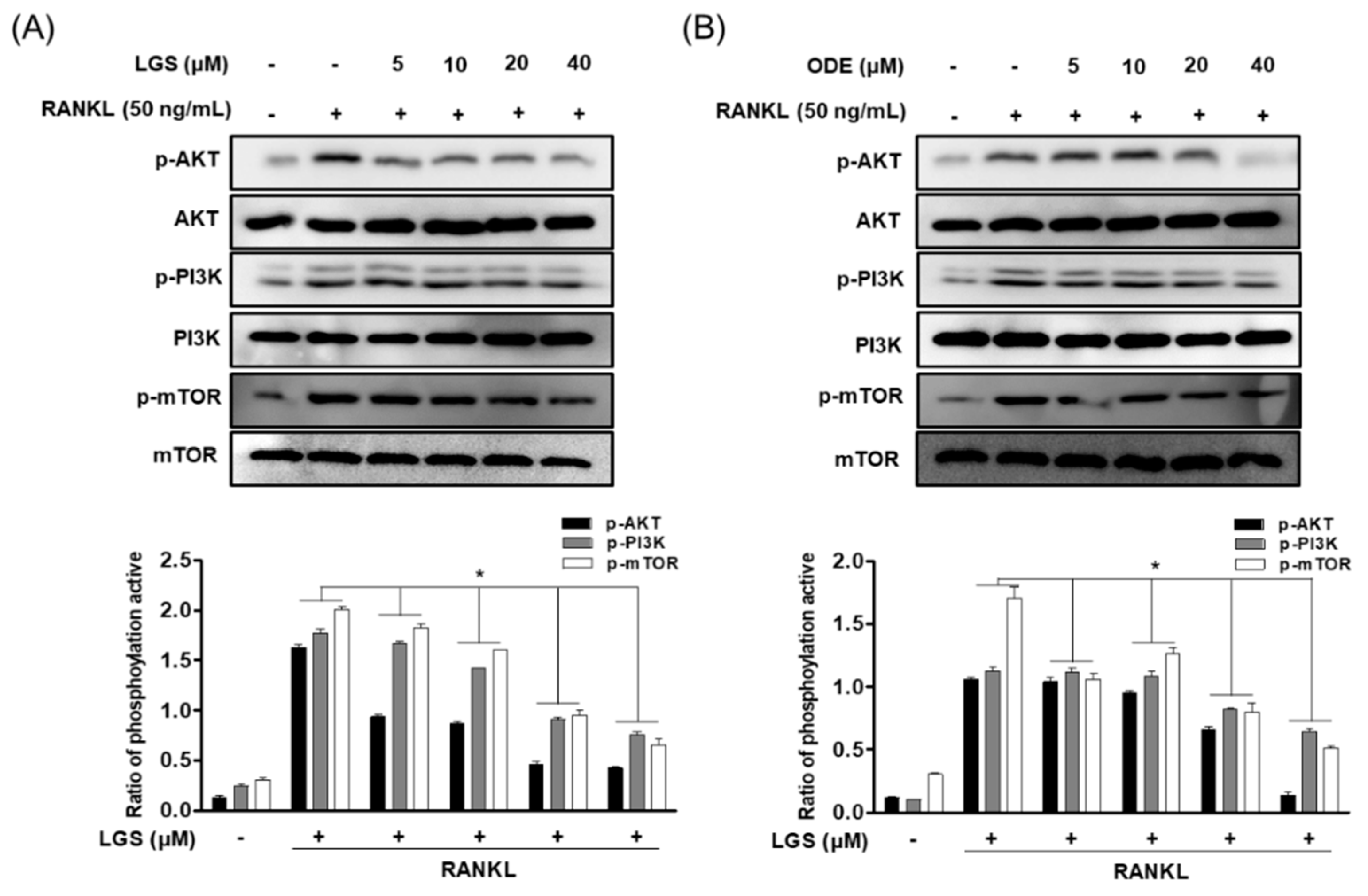 Molecules 26 01779 g008