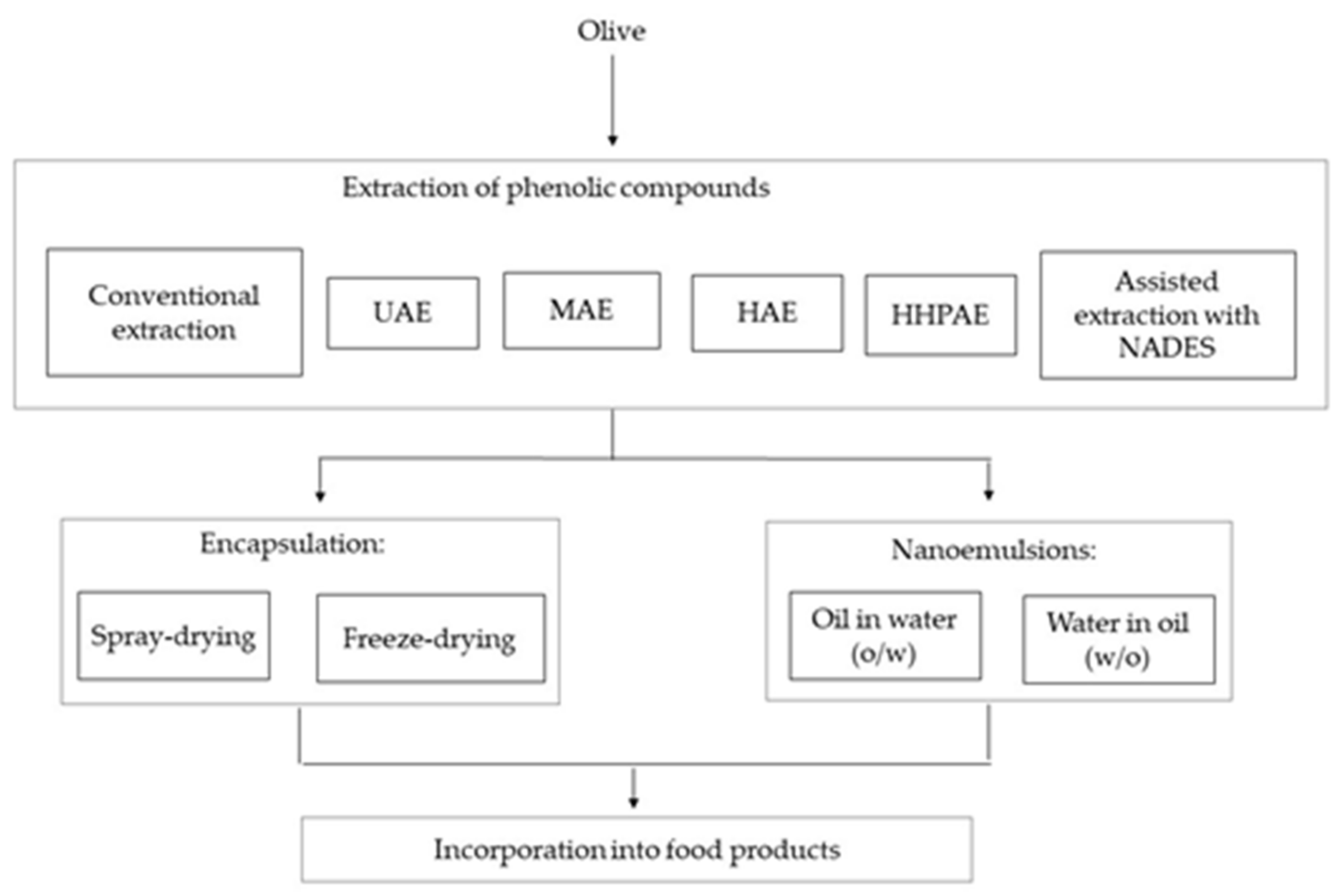 Molecules 26 01781 g002 Molecules 26 01781 g002