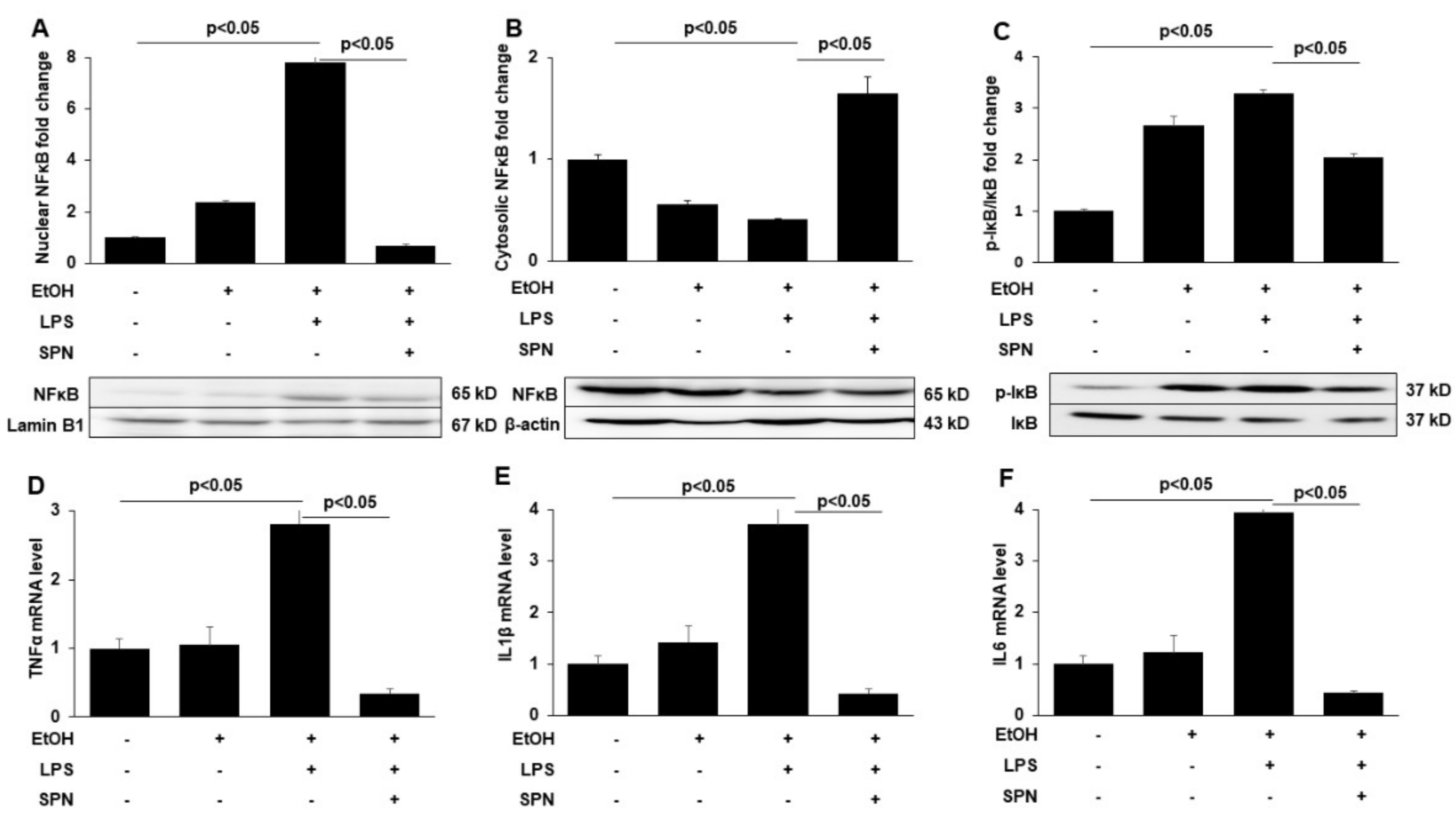 Molecules 26 01786 g003 Molecules 26 01786 g003
