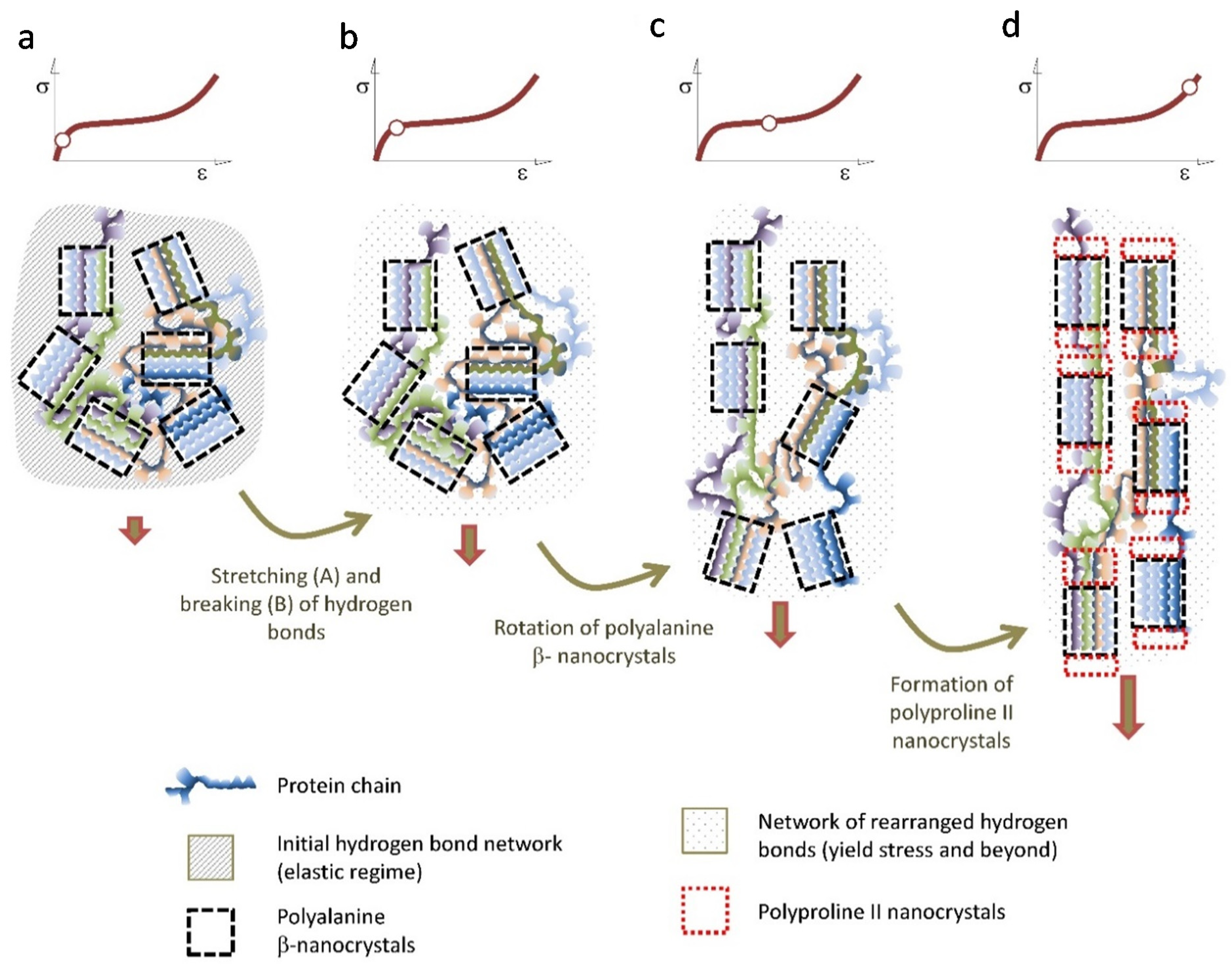 Molecules 26 01794 g006