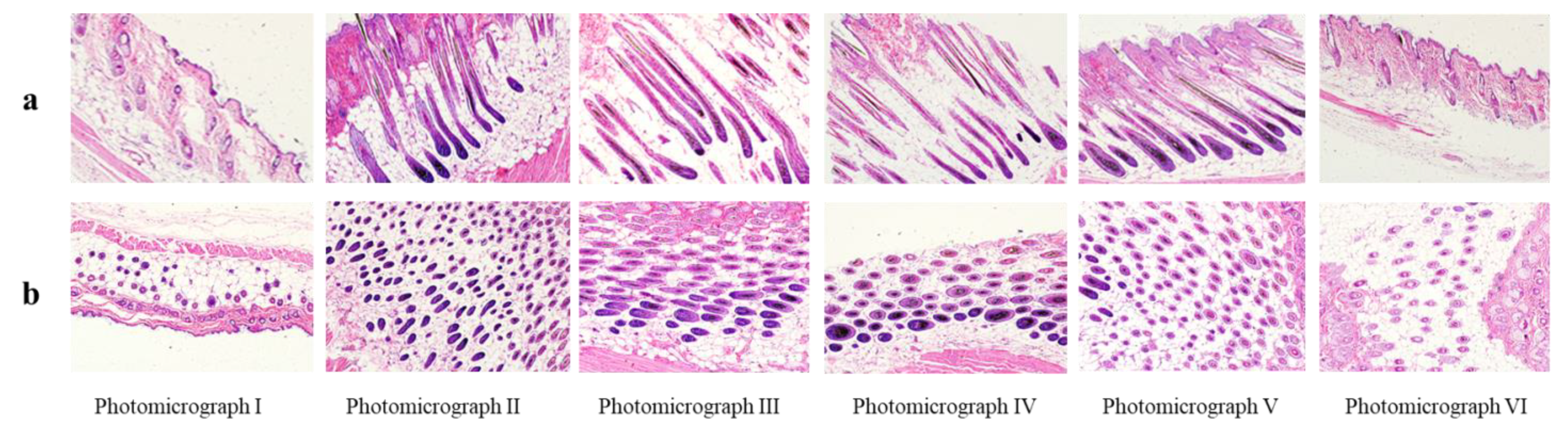 Molecules 26 01795 g007