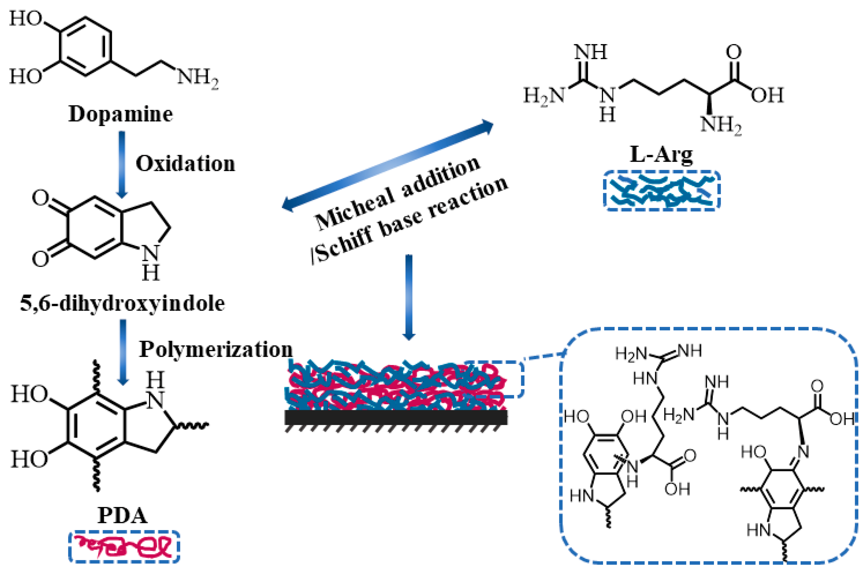 Molecules 26 01800 g001