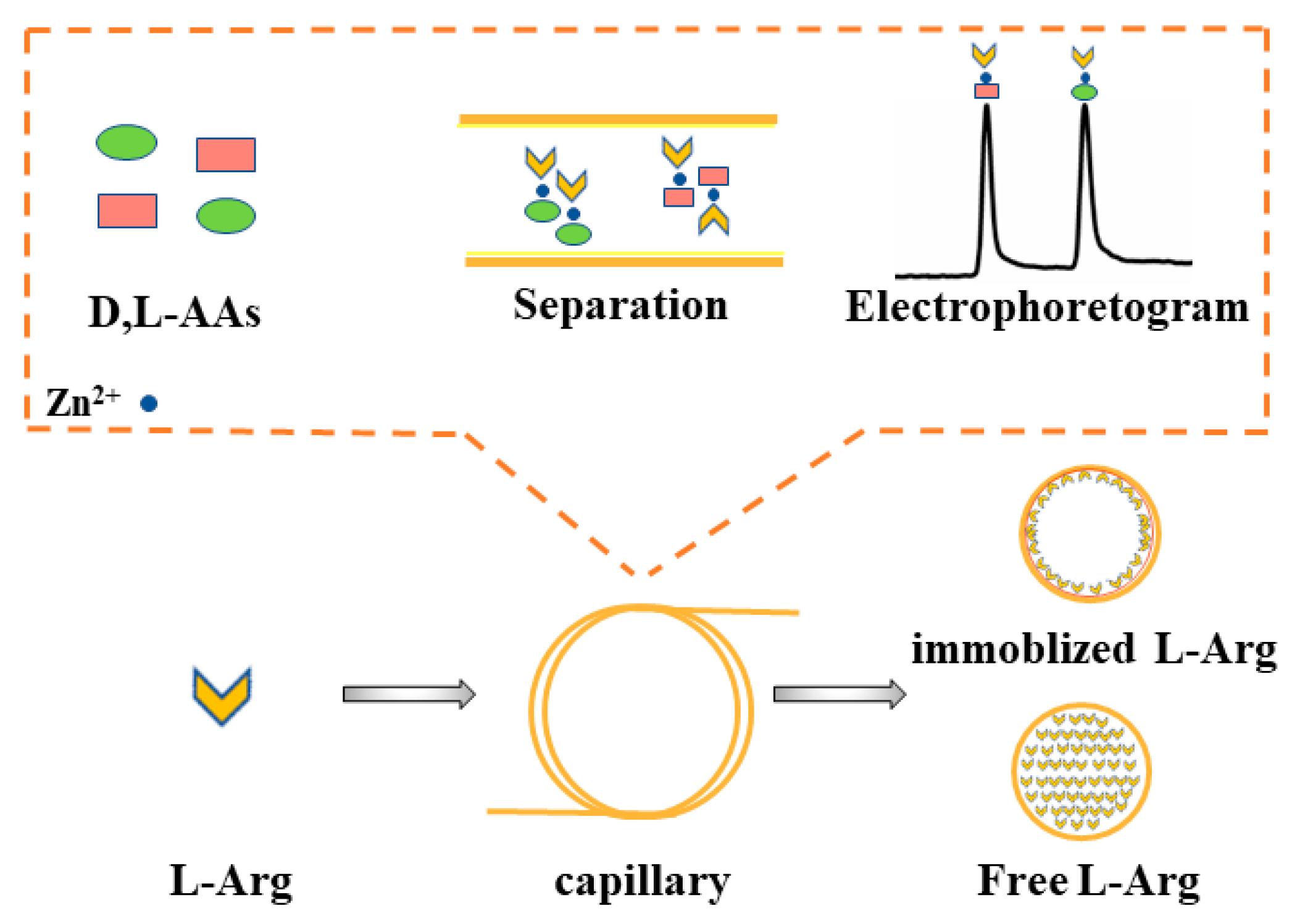 Molecules 26 01800 g006