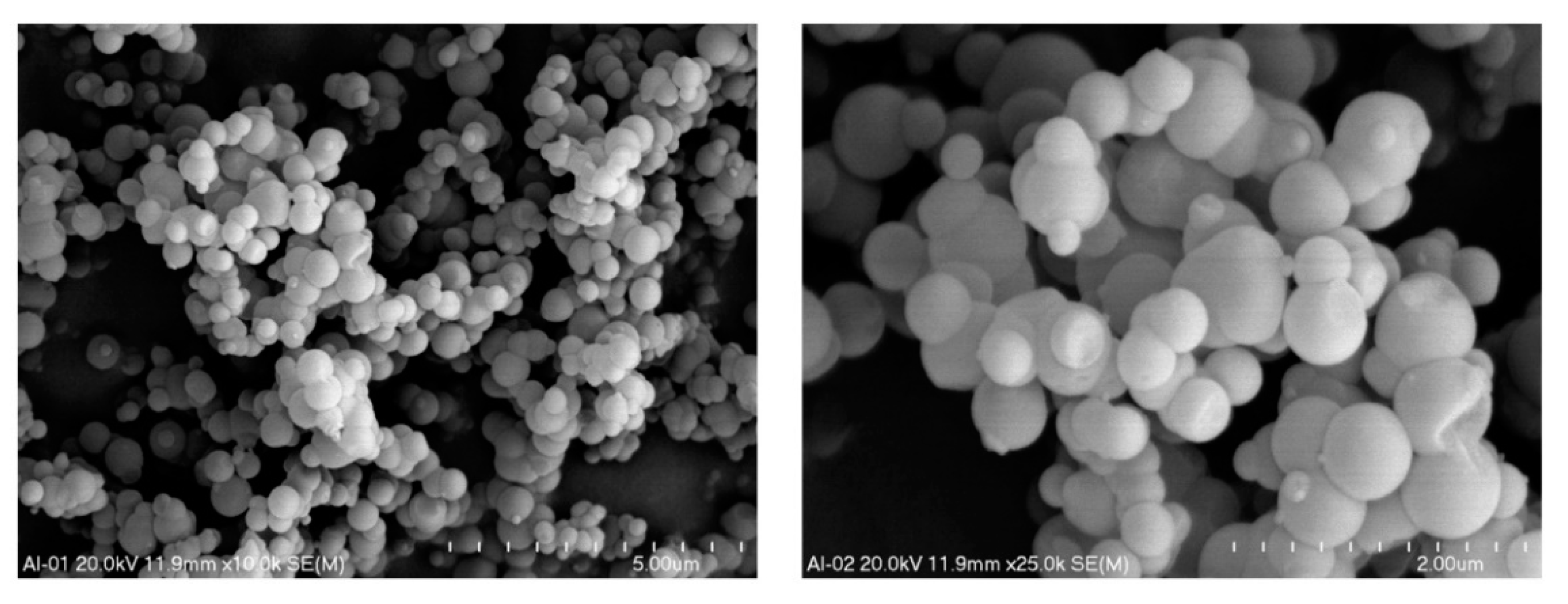 Molecules 26 01807 g004