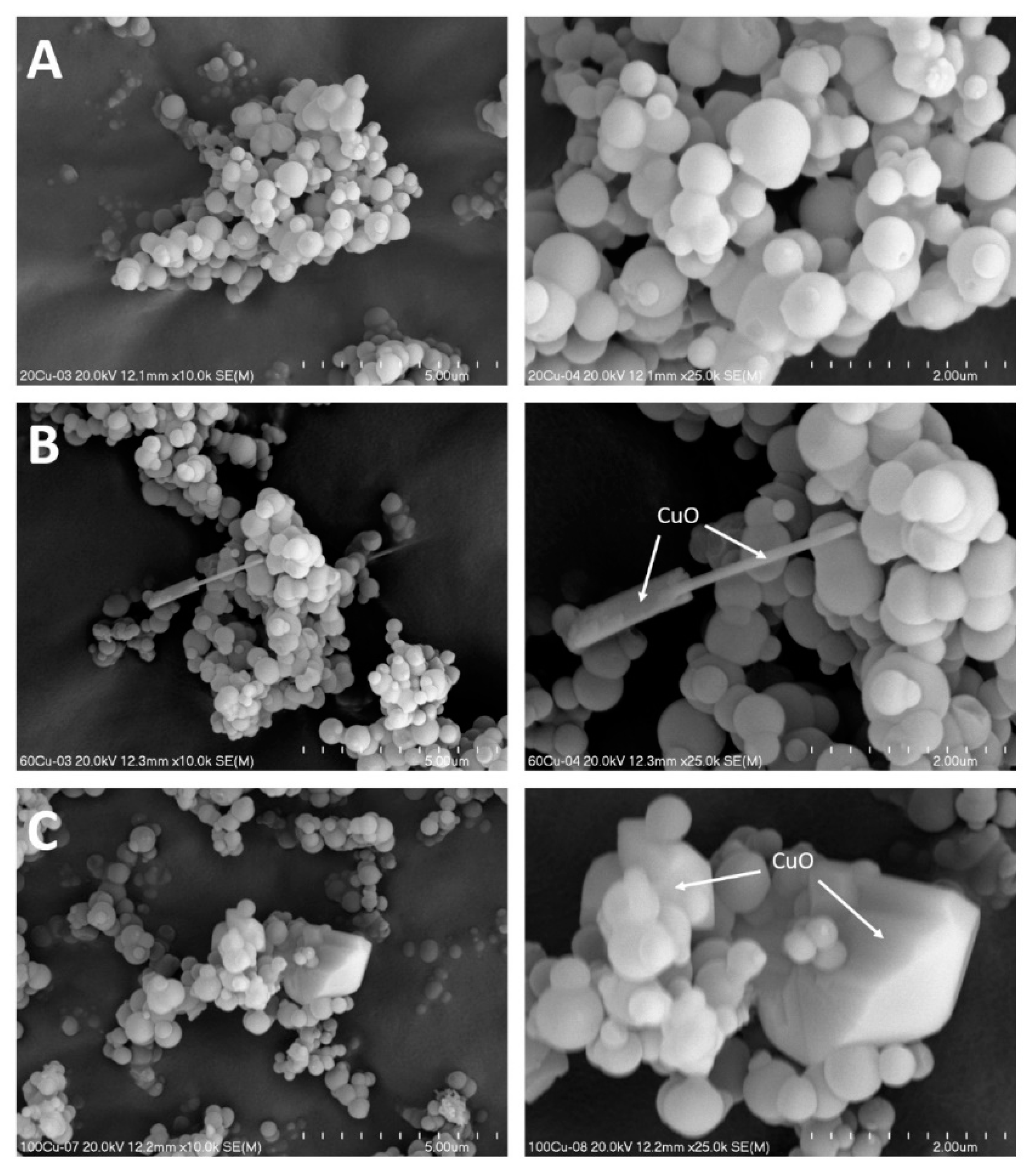 Molecules 26 01807 g005