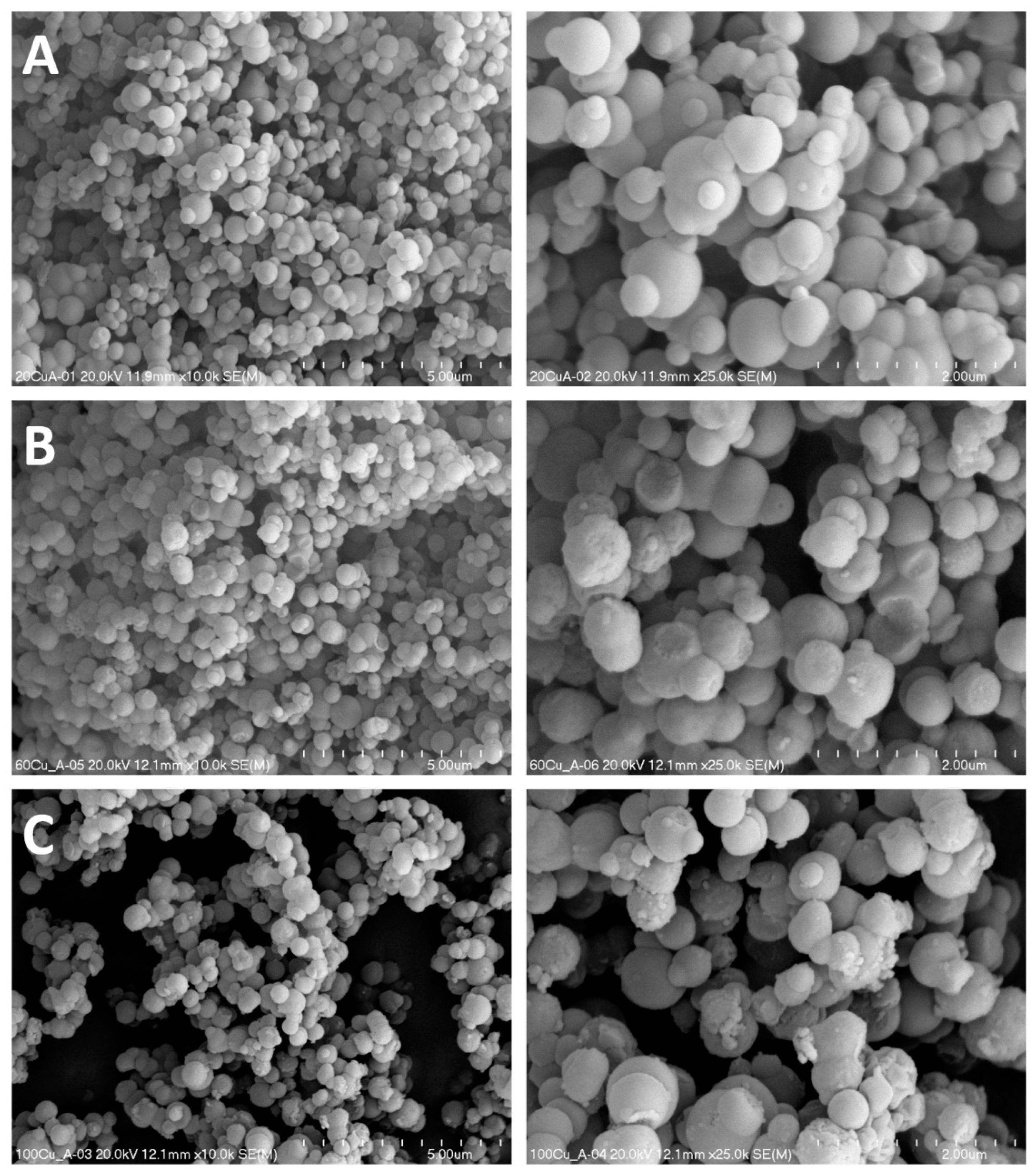 Molecules 26 01807 g006