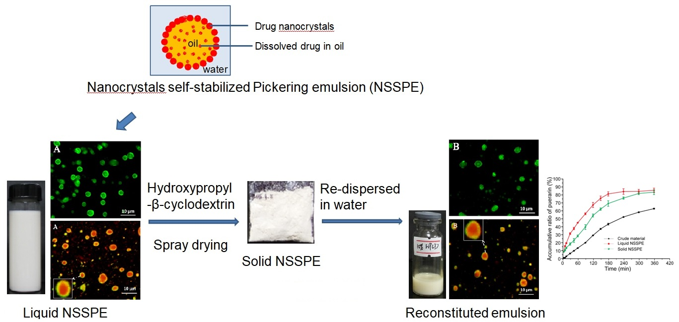 Molecules Free FullText A Novel Solid Nanocrystals SelfStabilized