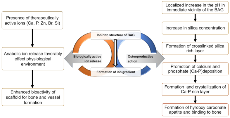 Molecules 26 01823 g001 Molecules 26 01823 g001