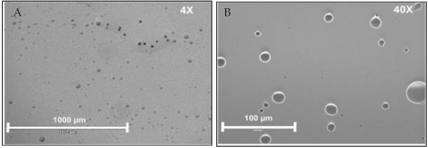 Molecules 26 01823 g002 Molecules 26 01823 g002