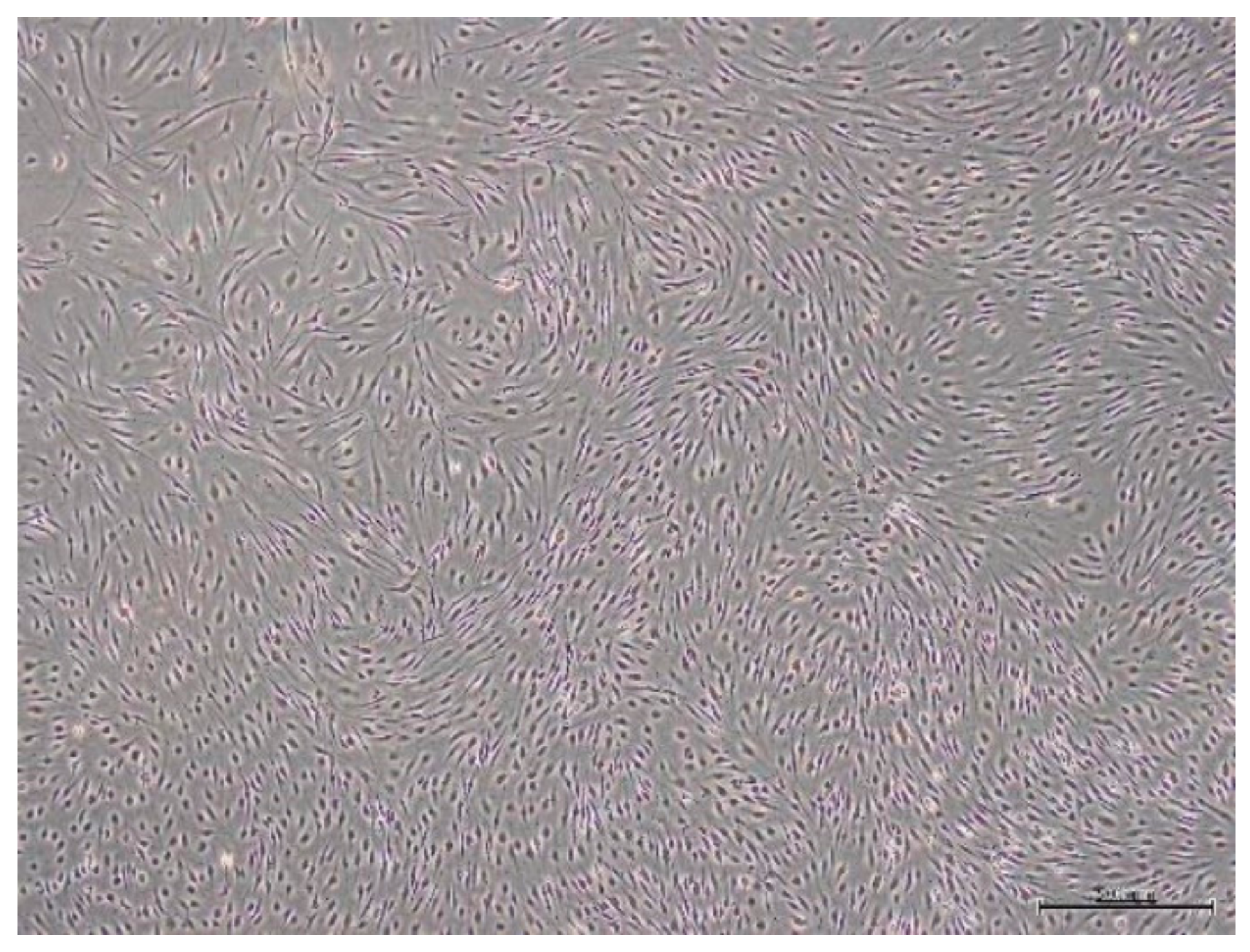 Molecules 26 01831 g001 Molecules 26 01831 g001