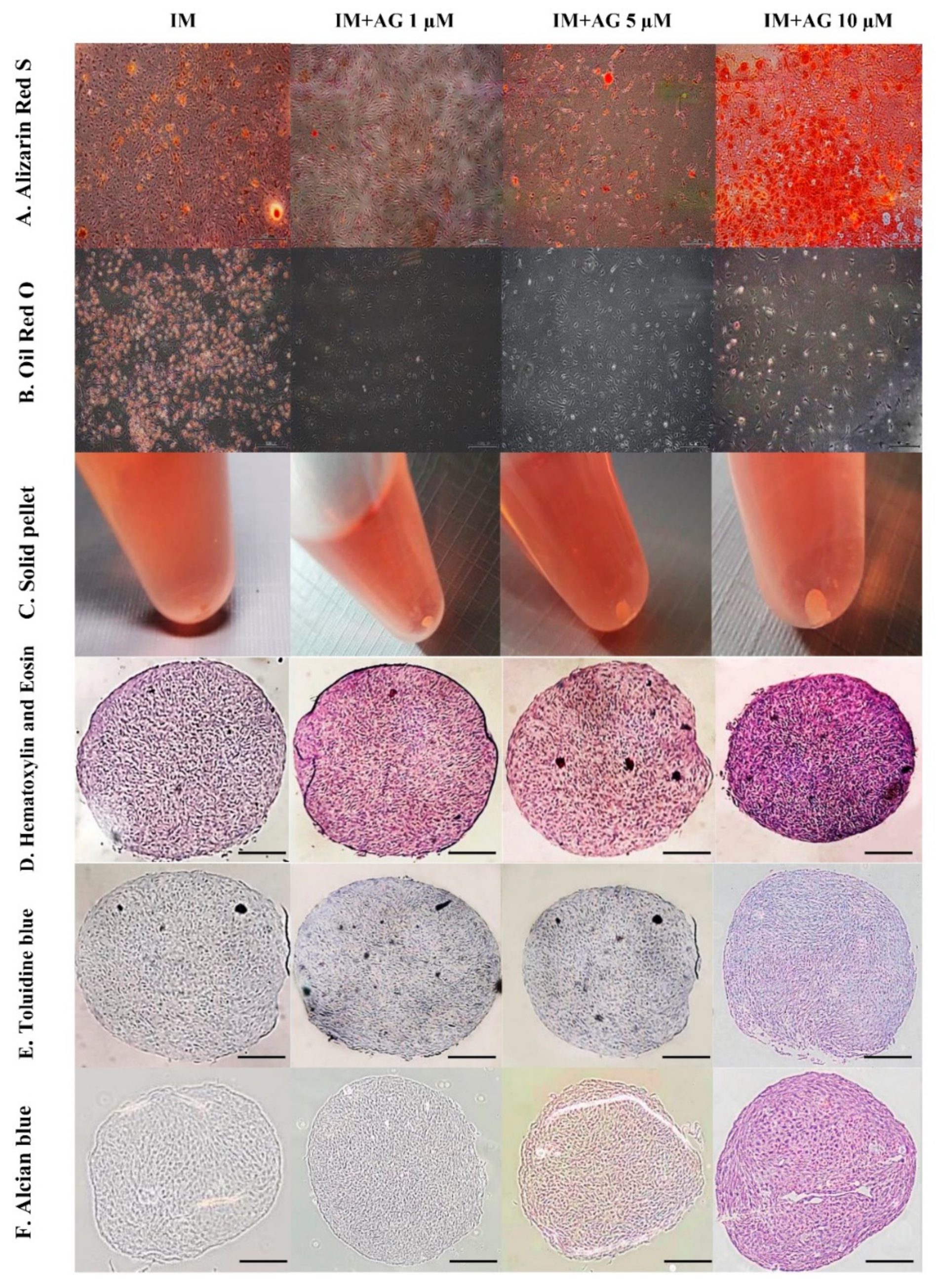 Molecules 26 01831 g004 Molecules 26 01831 g004