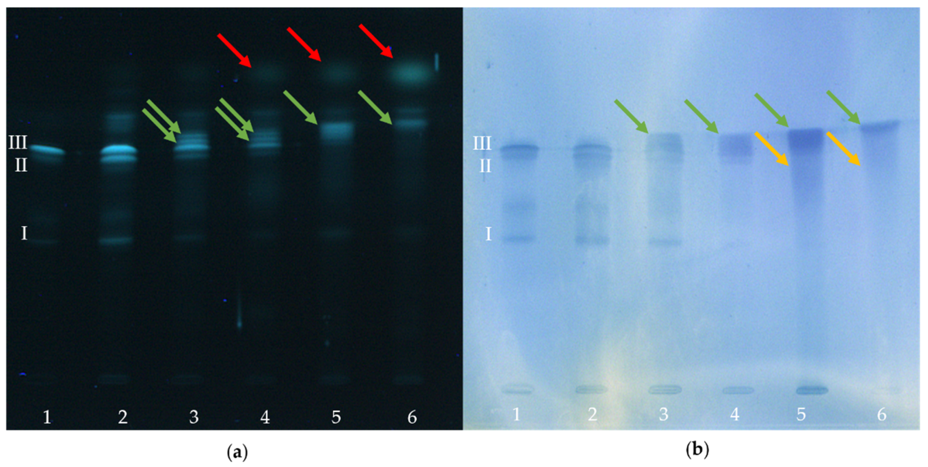 Molecules 26 01842 g002 Molecules 26 01842 g002