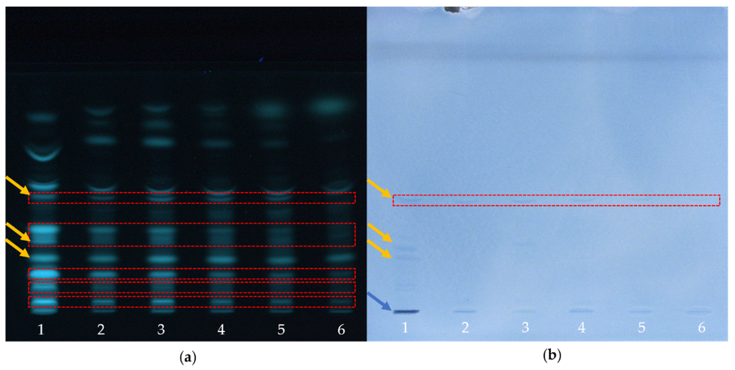 Molecules 26 01842 g003 Molecules 26 01842 g003