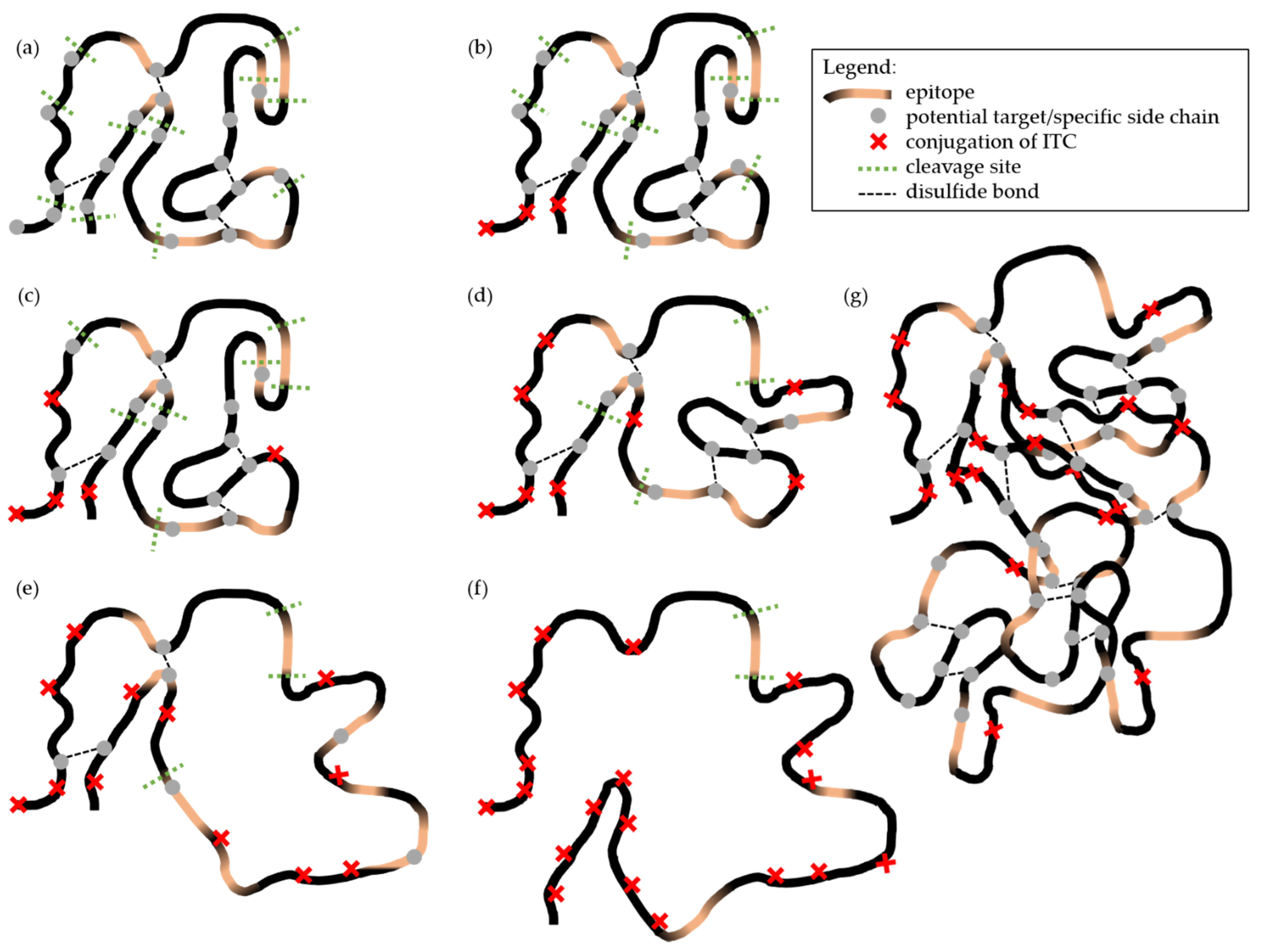 Molecules 26 01842 g004 Molecules 26 01842 g004