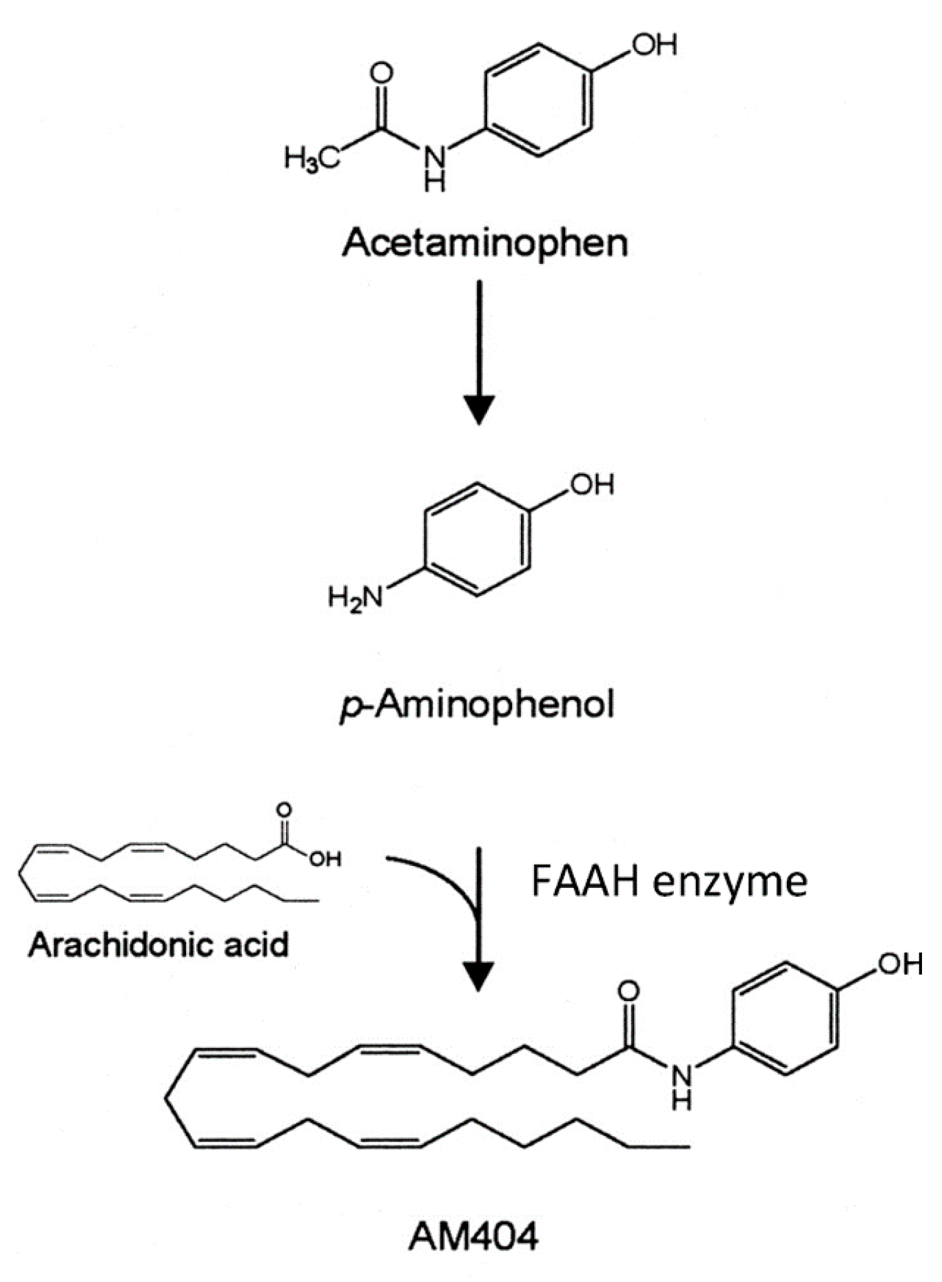 Molecules 26 01845 g004