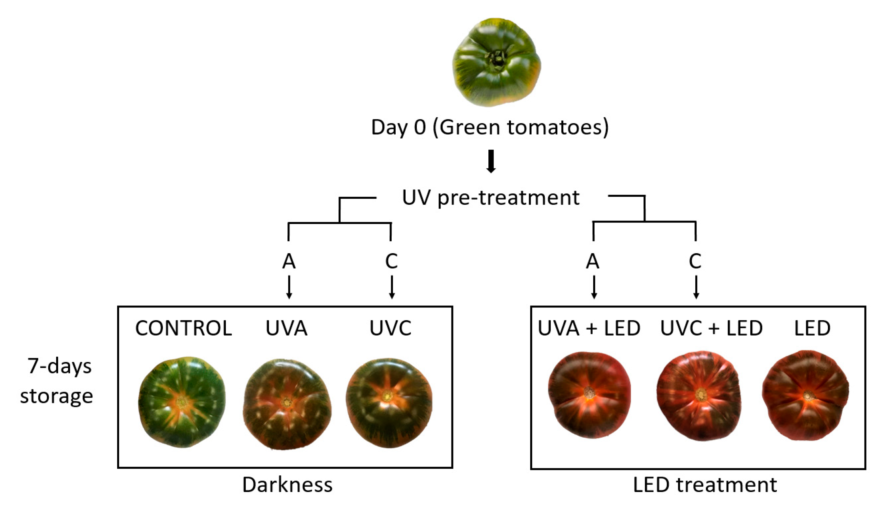 Molecules 26 01847 g003