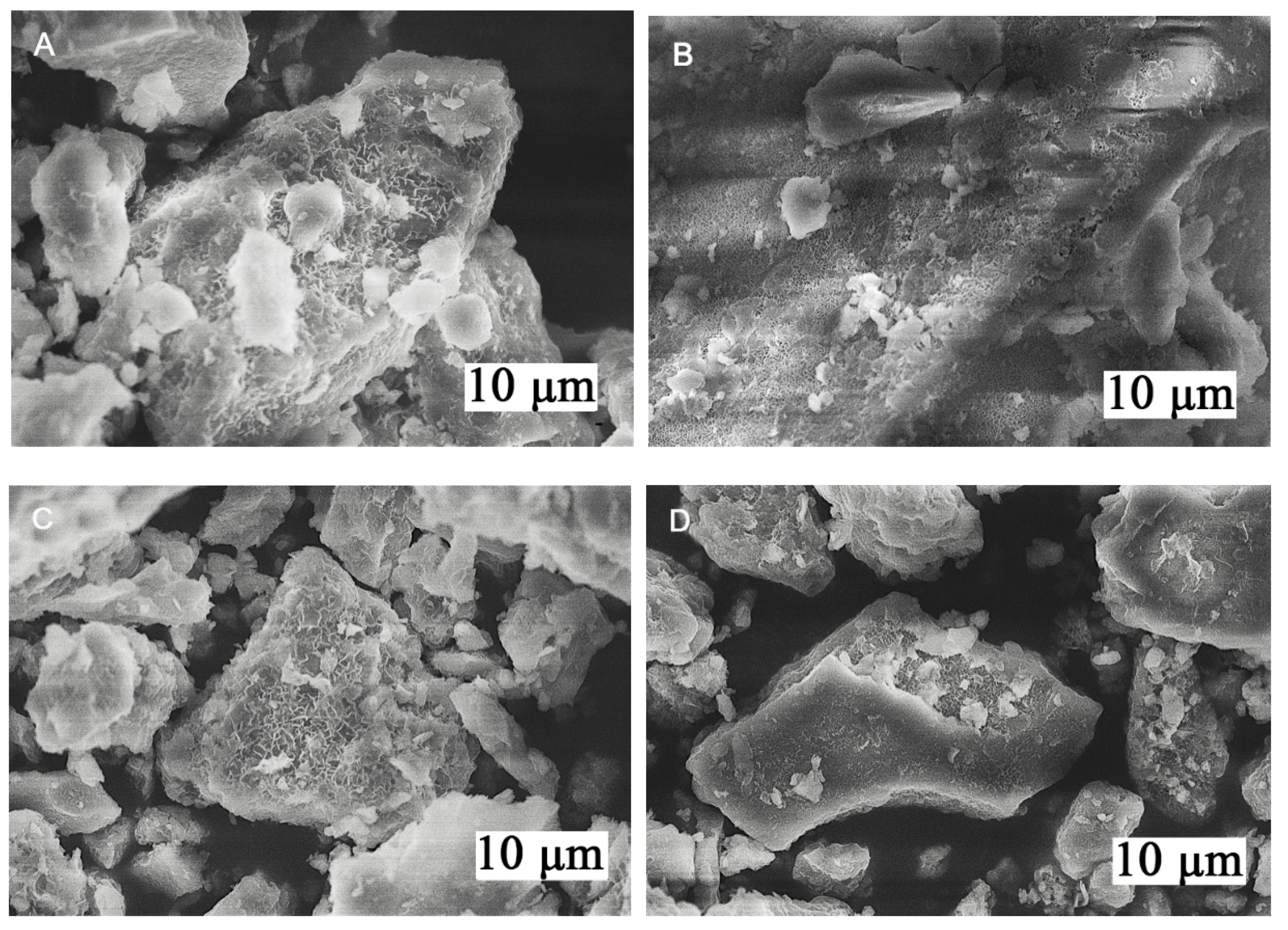Molecules 26 01848 g003 Molecules 26 01848 g003