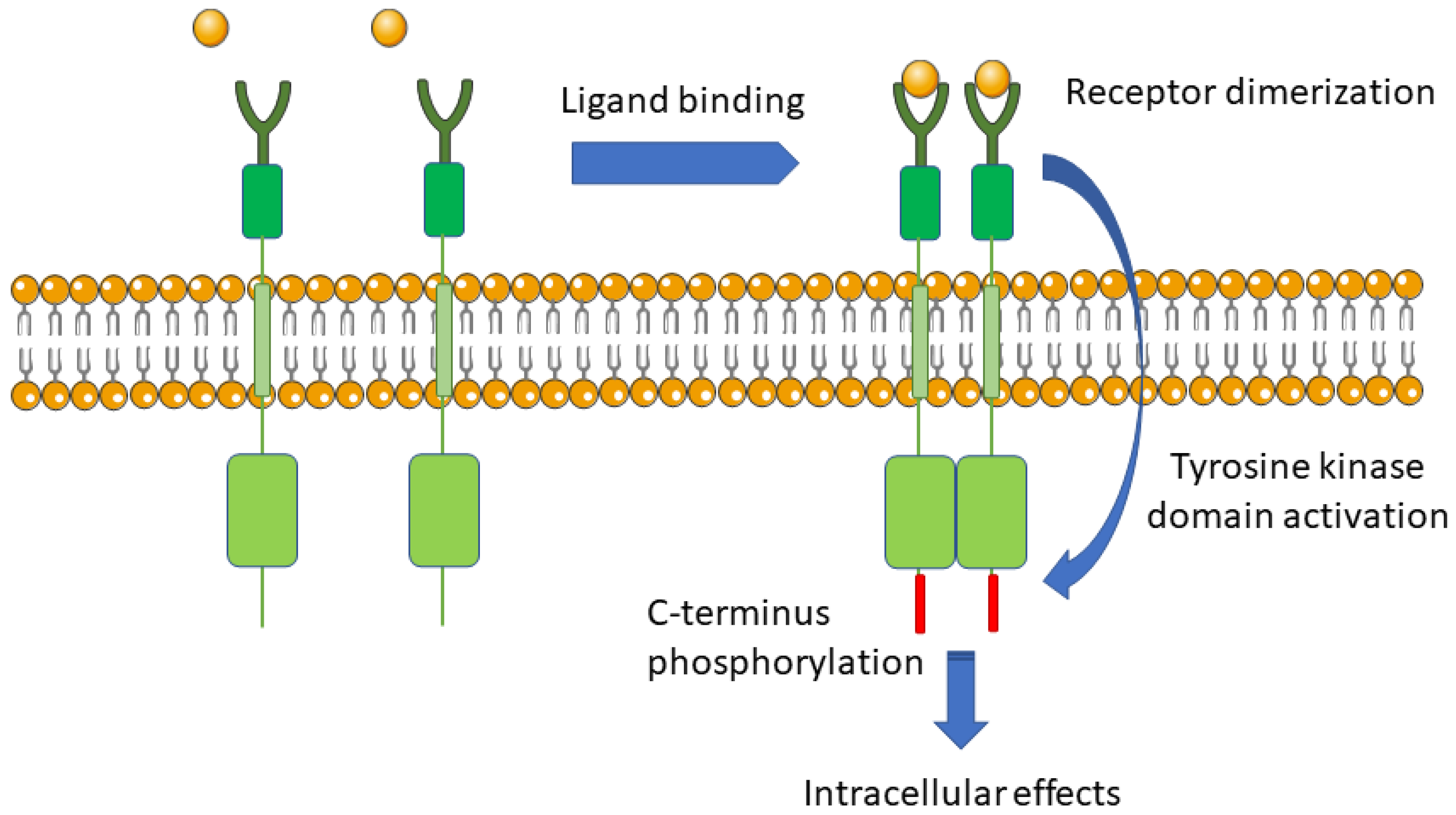 Molecules 26 01850 g002