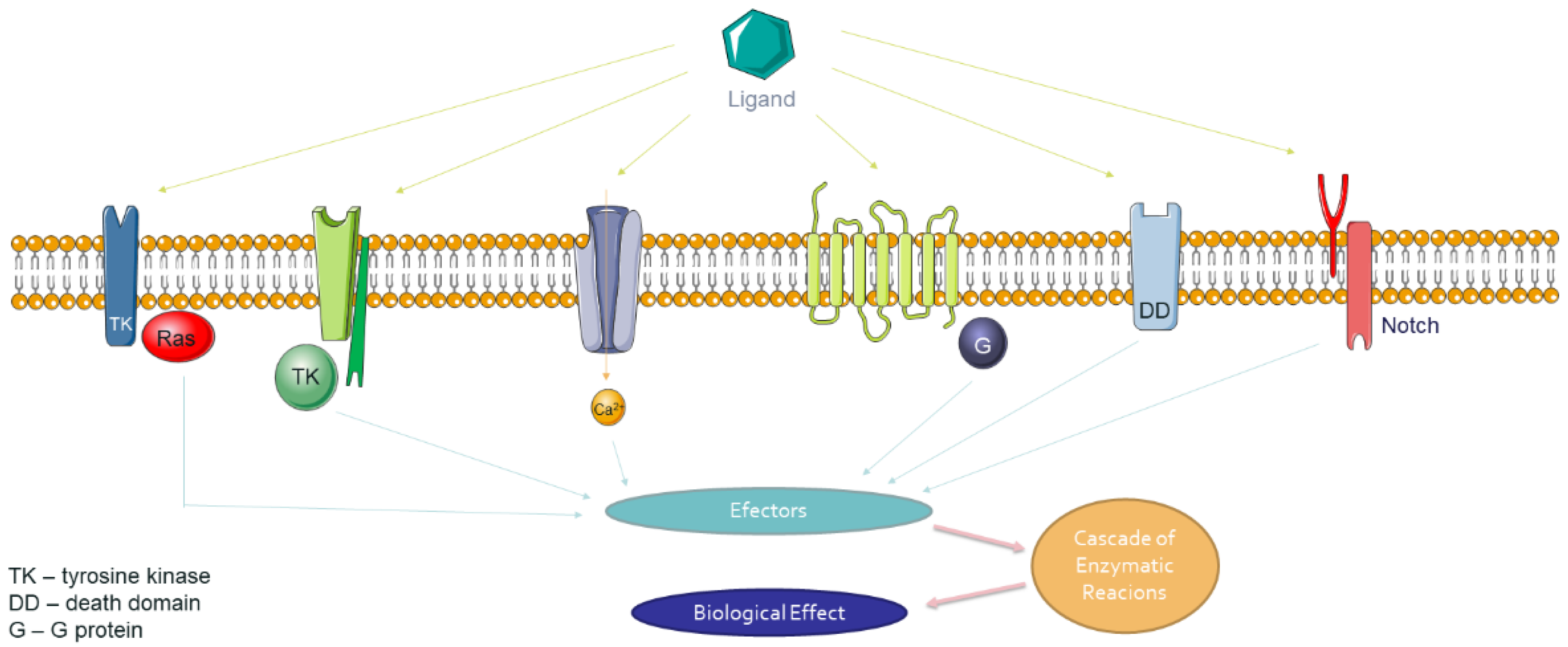 Molecules 26 01850 g003
