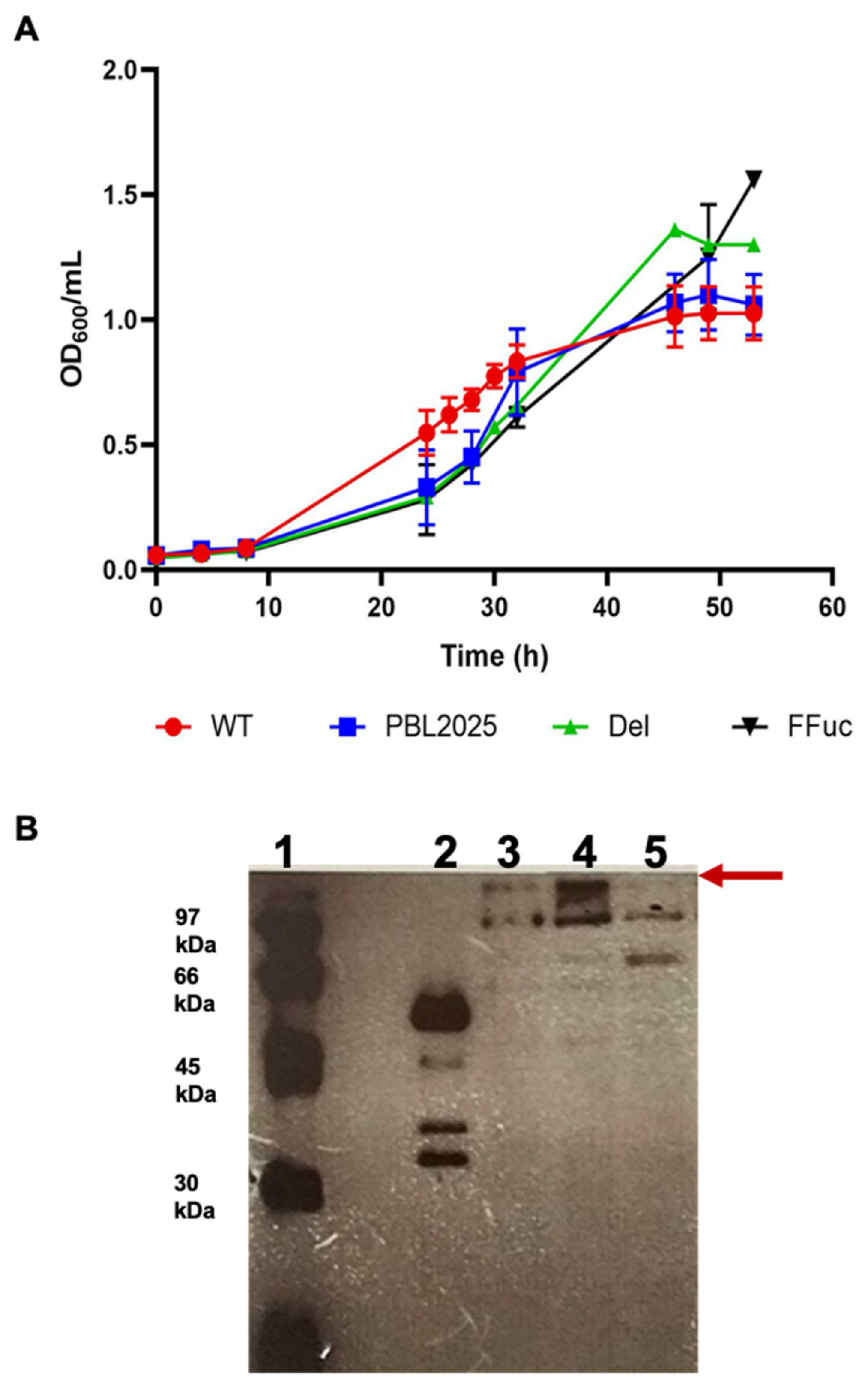 Molecules 26 01861 g002 Molecules 26 01861 g002