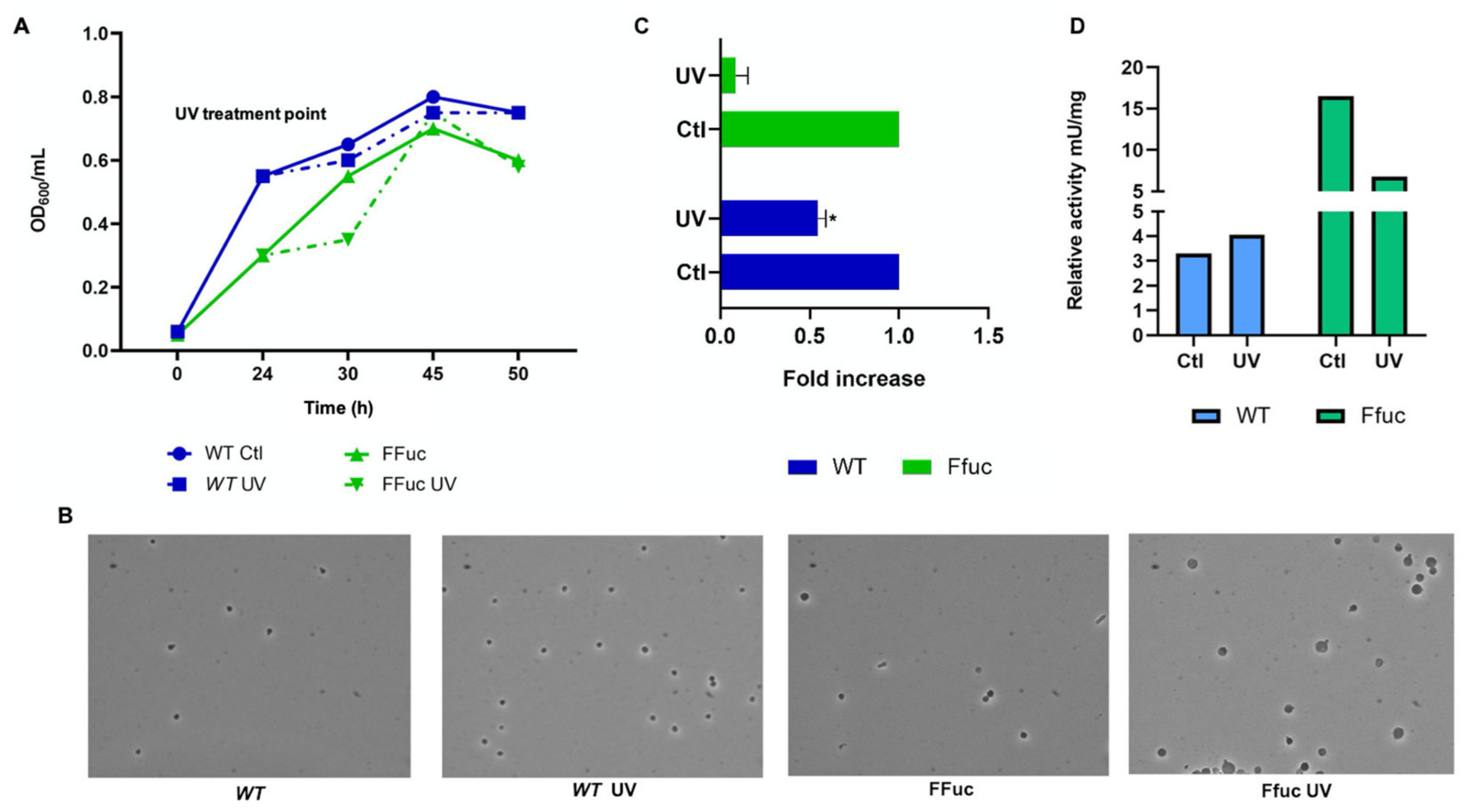 Molecules 26 01861 g006 Molecules 26 01861 g006