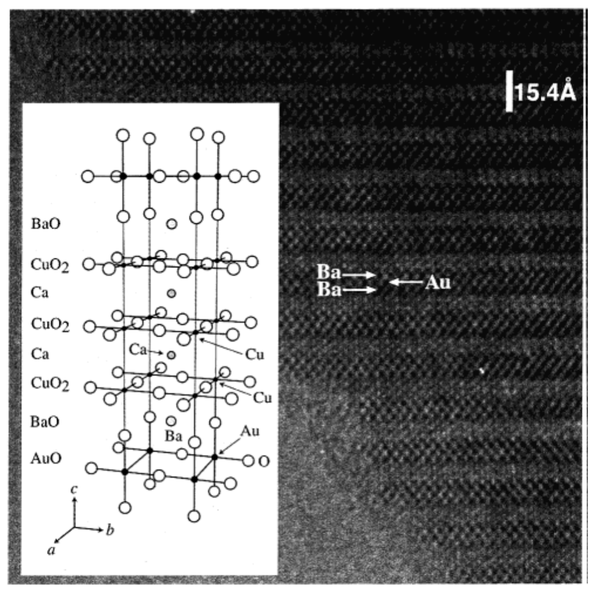 Molecules 26 01862 g003 Molecules 26 01862 g003