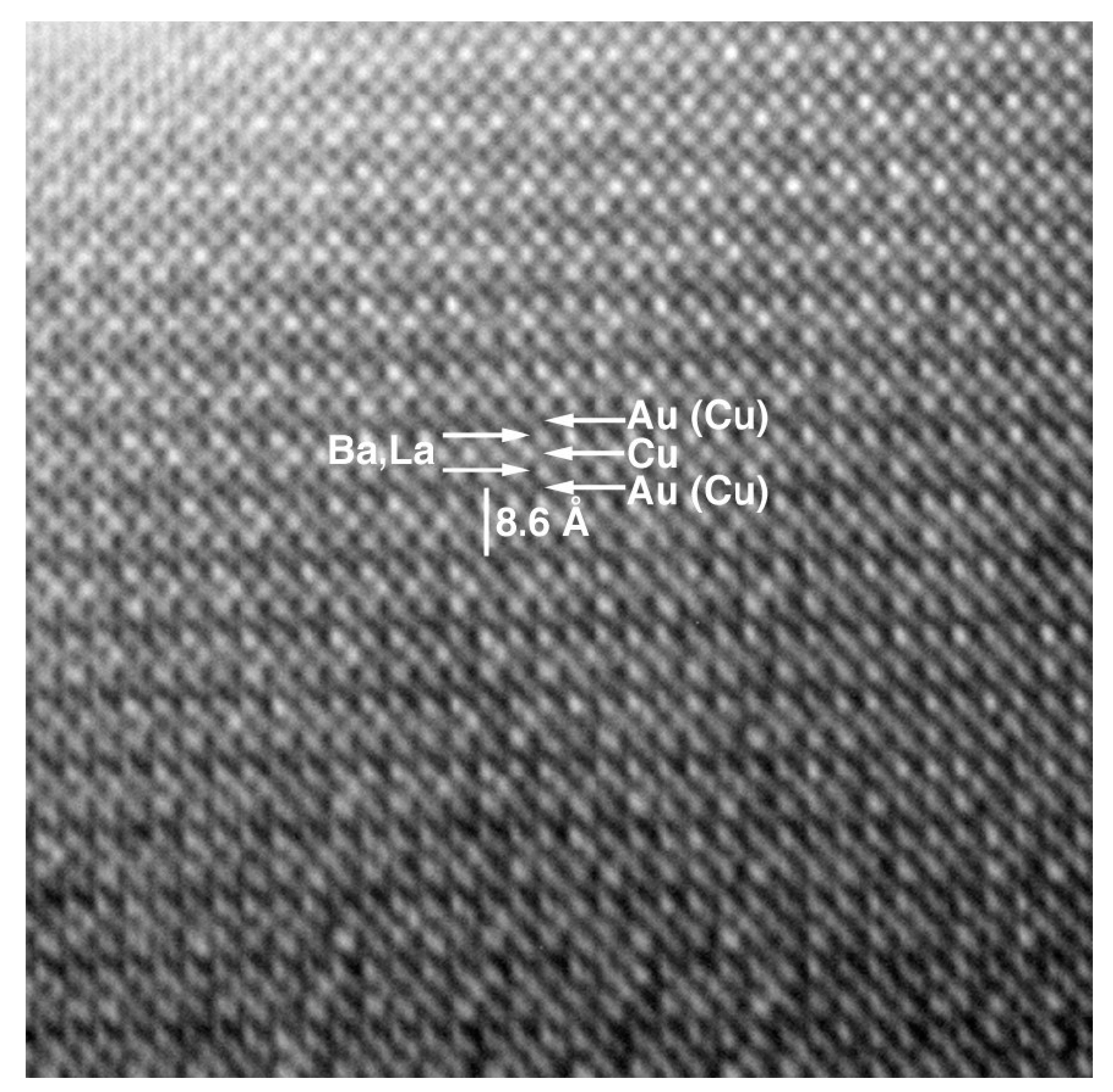 Molecules 26 01862 g004 Molecules 26 01862 g004