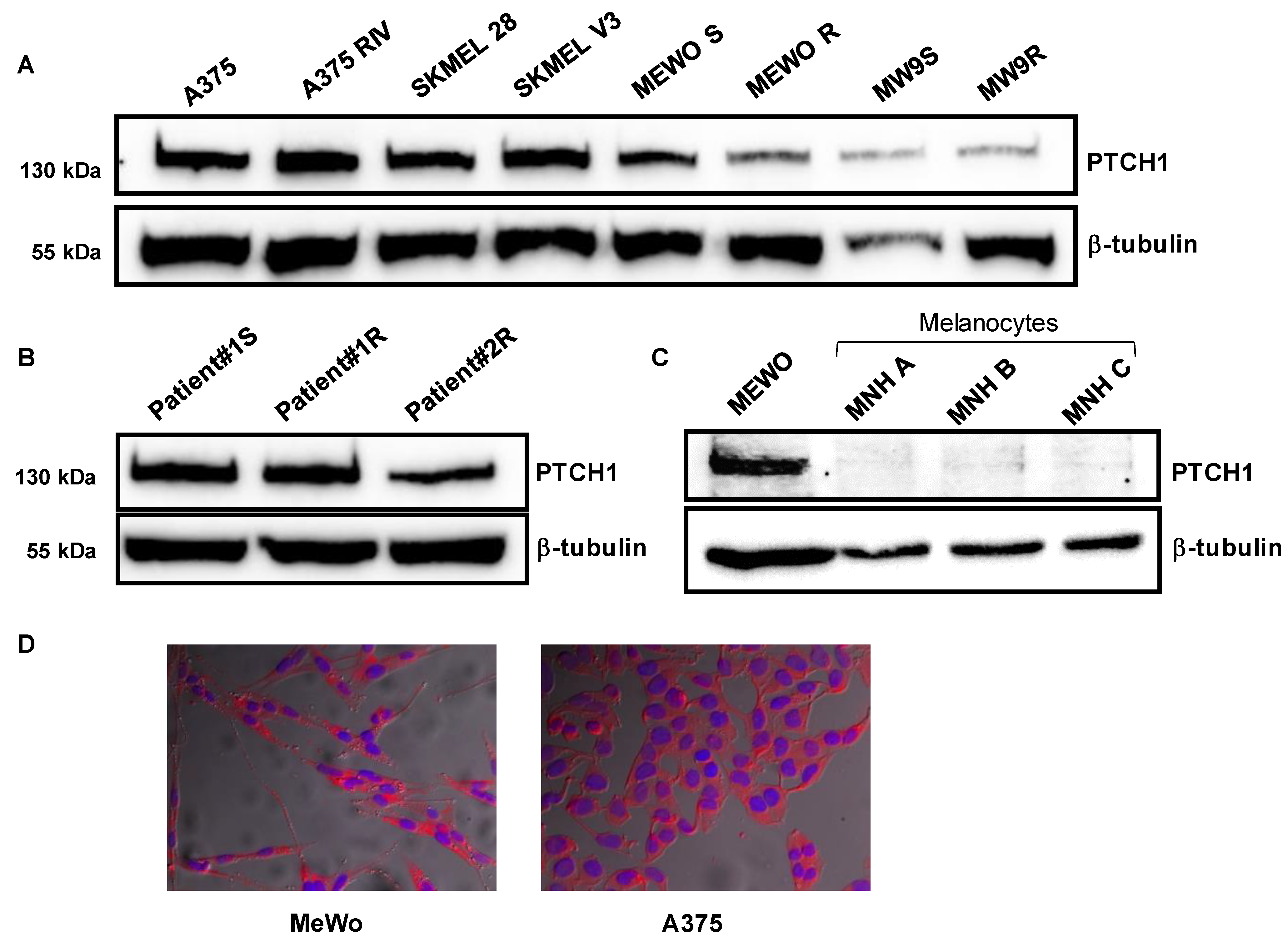 Molecules 26 01867 g001