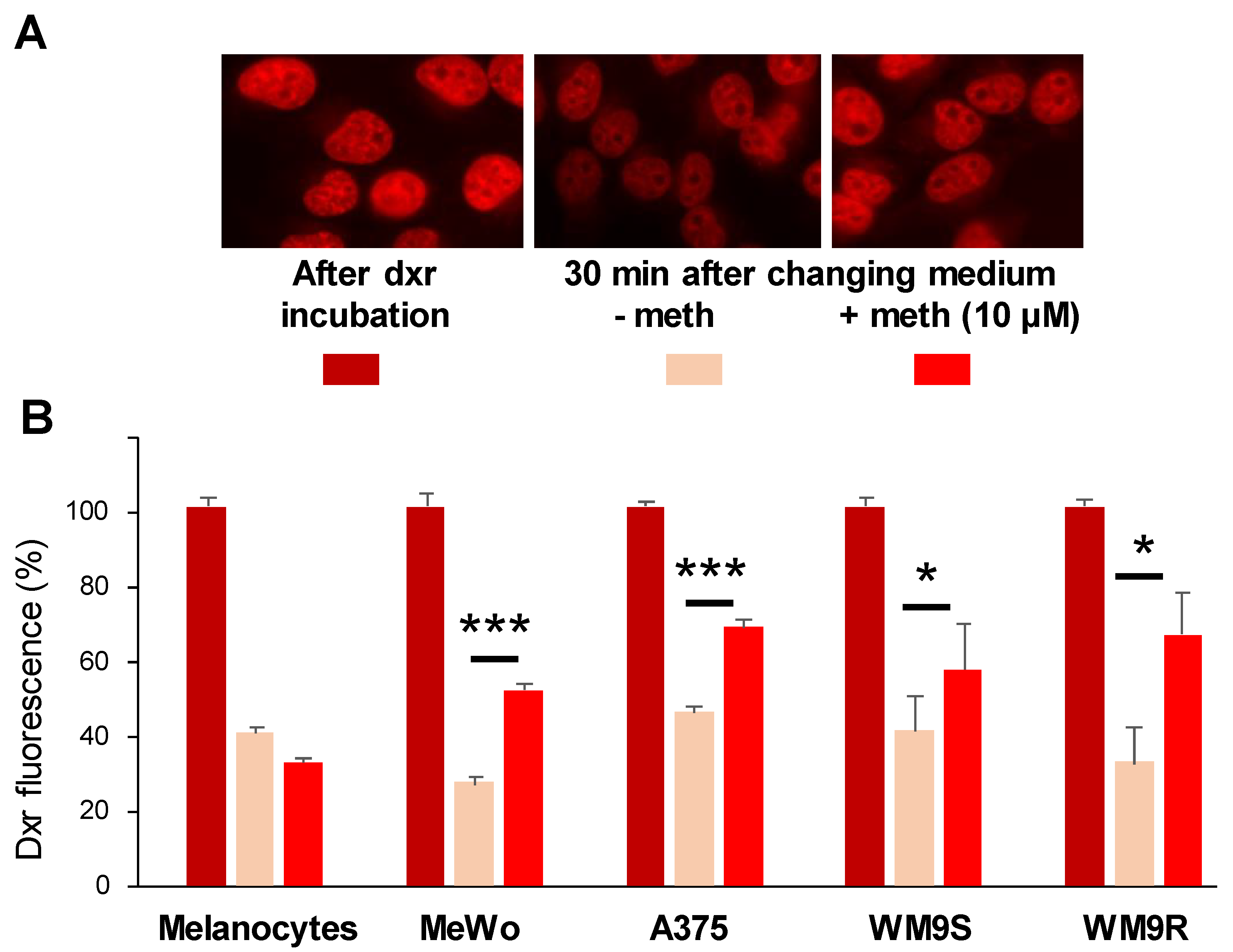 Molecules 26 01867 g002