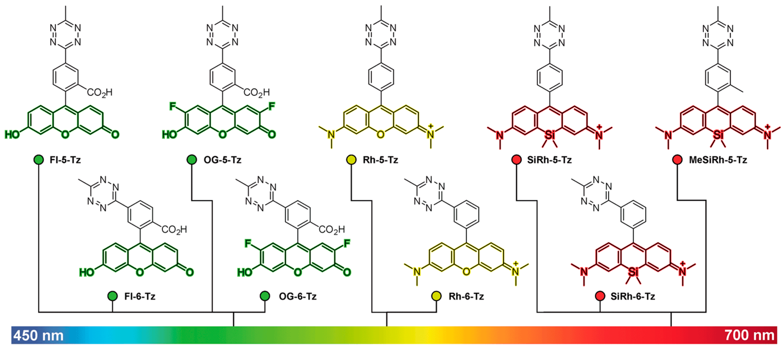 Molecules 26 01868 g002