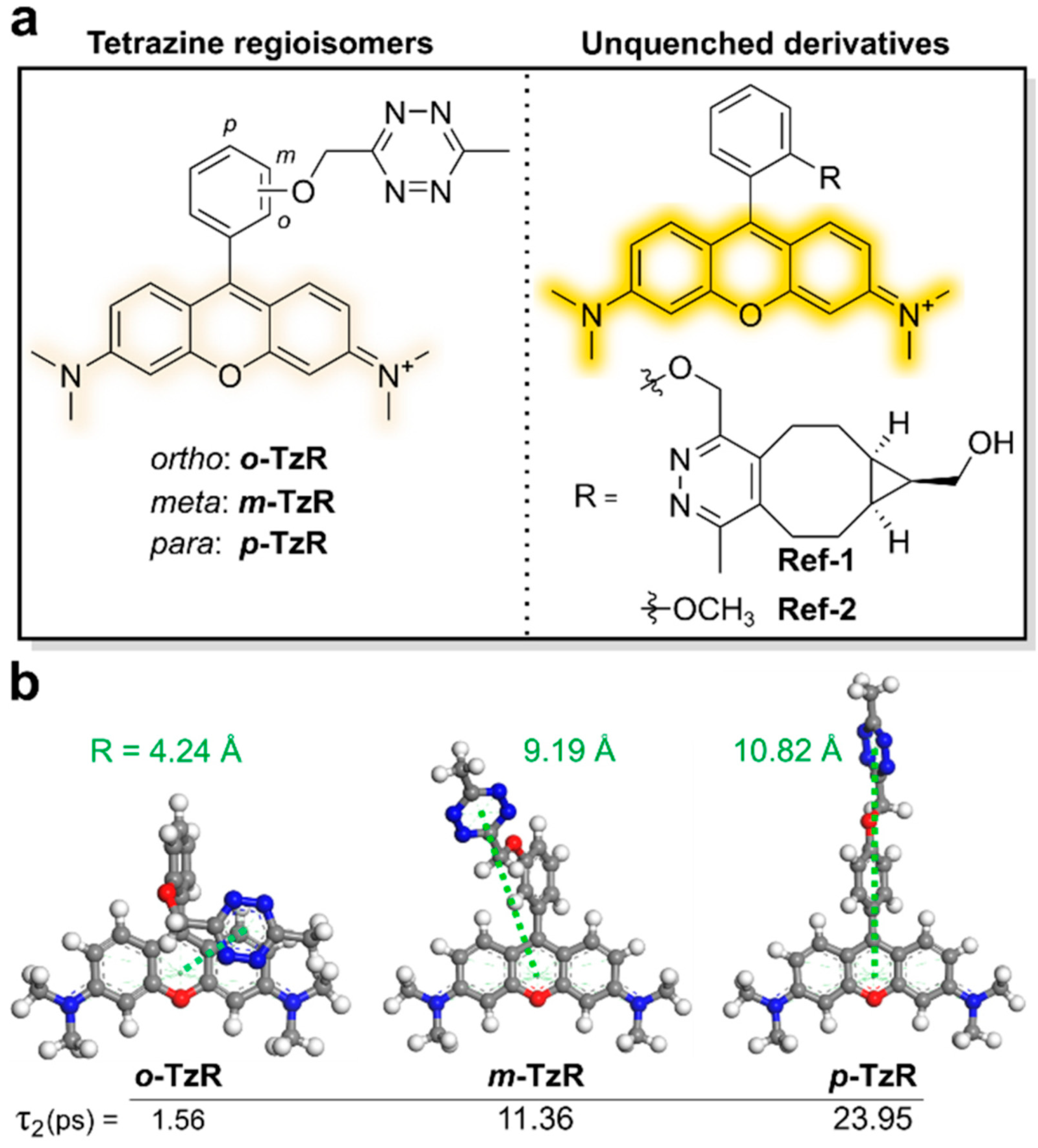 Molecules 26 01868 g003