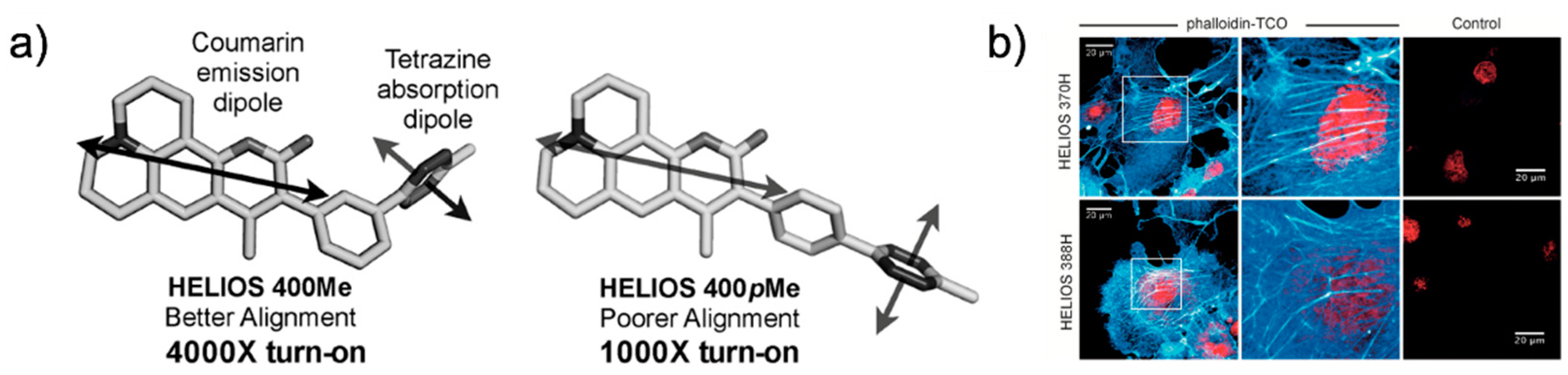Molecules 26 01868 g005