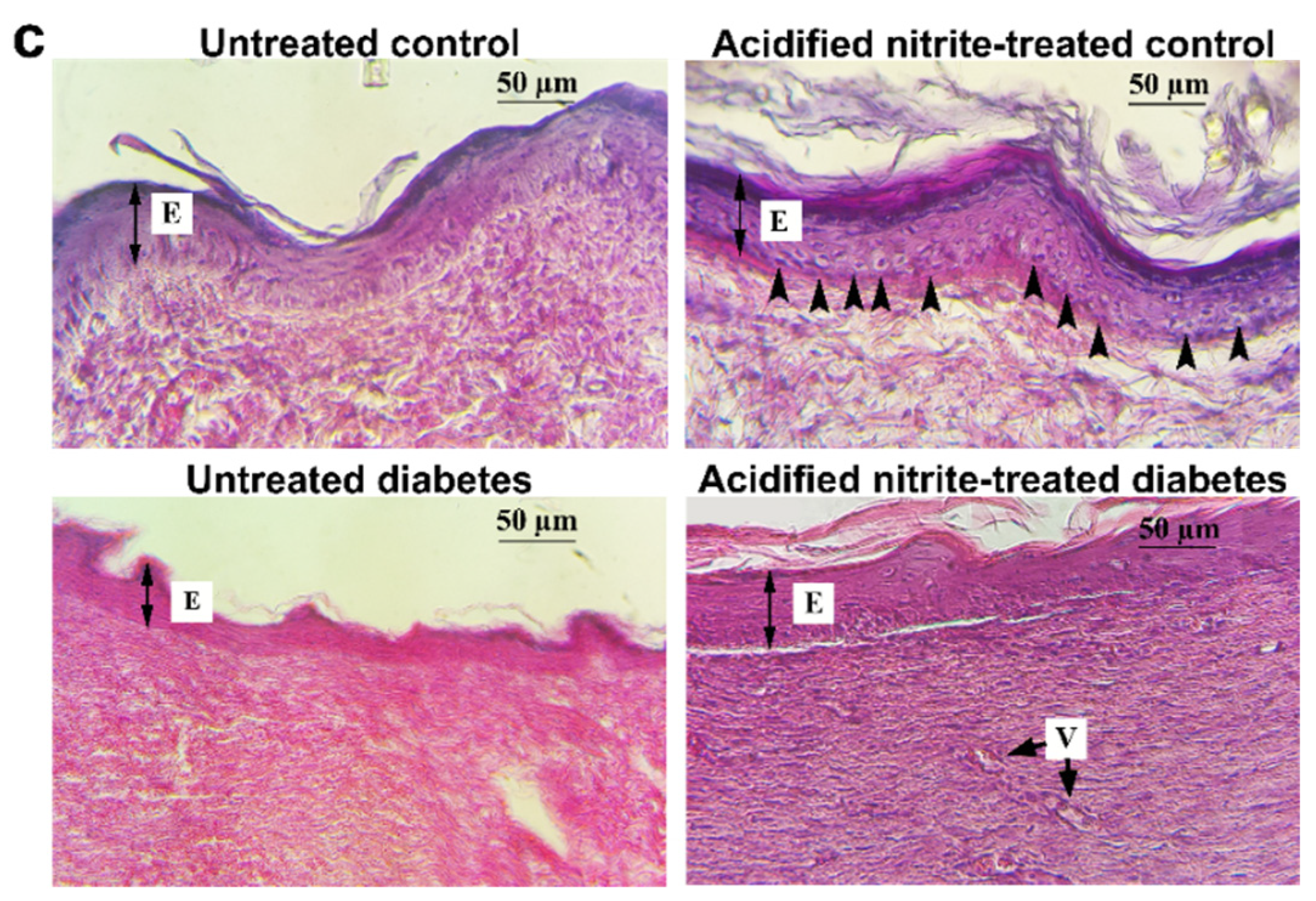 Molecules 26 01872 g002b