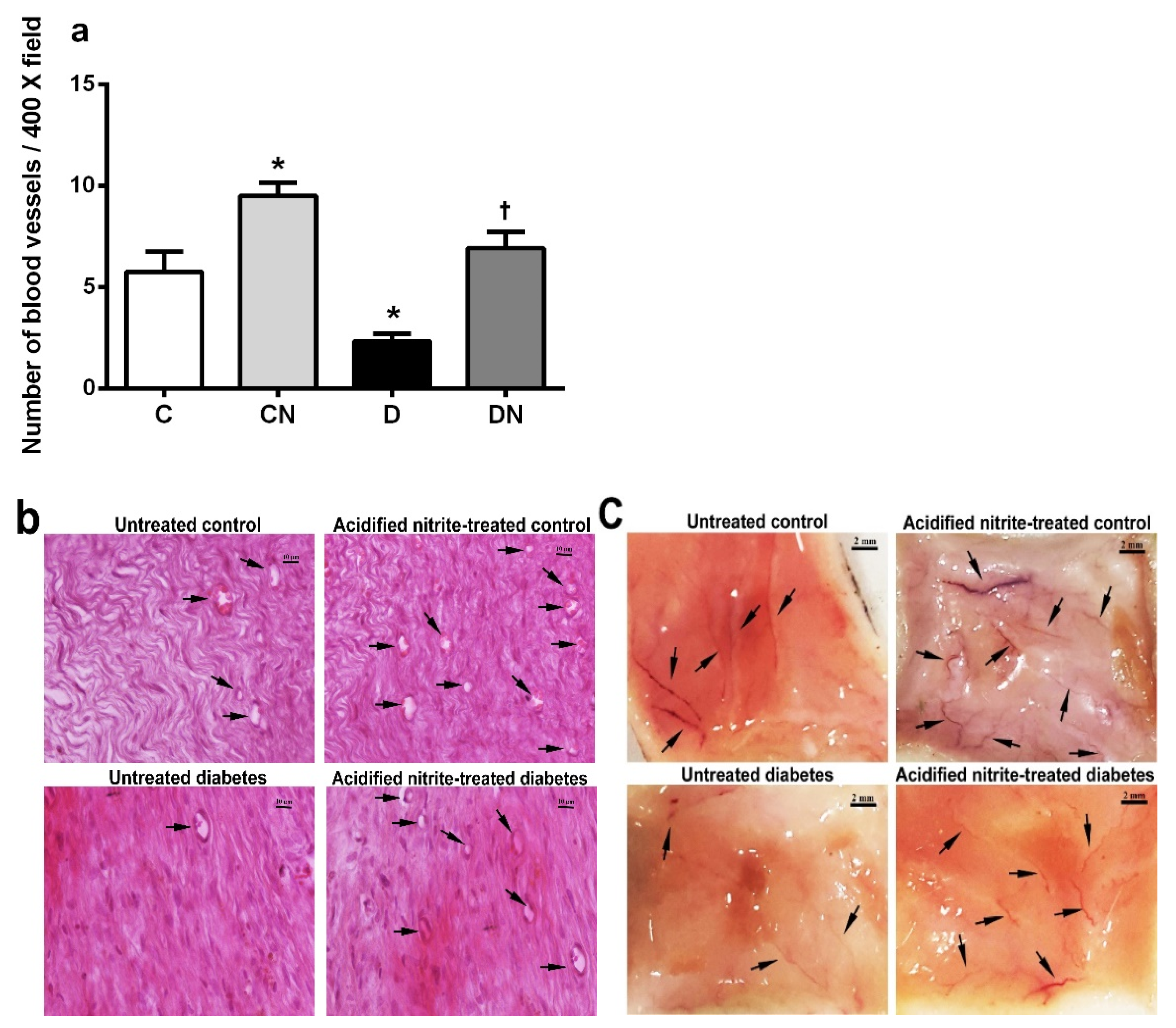 Molecules 26 01872 g006
