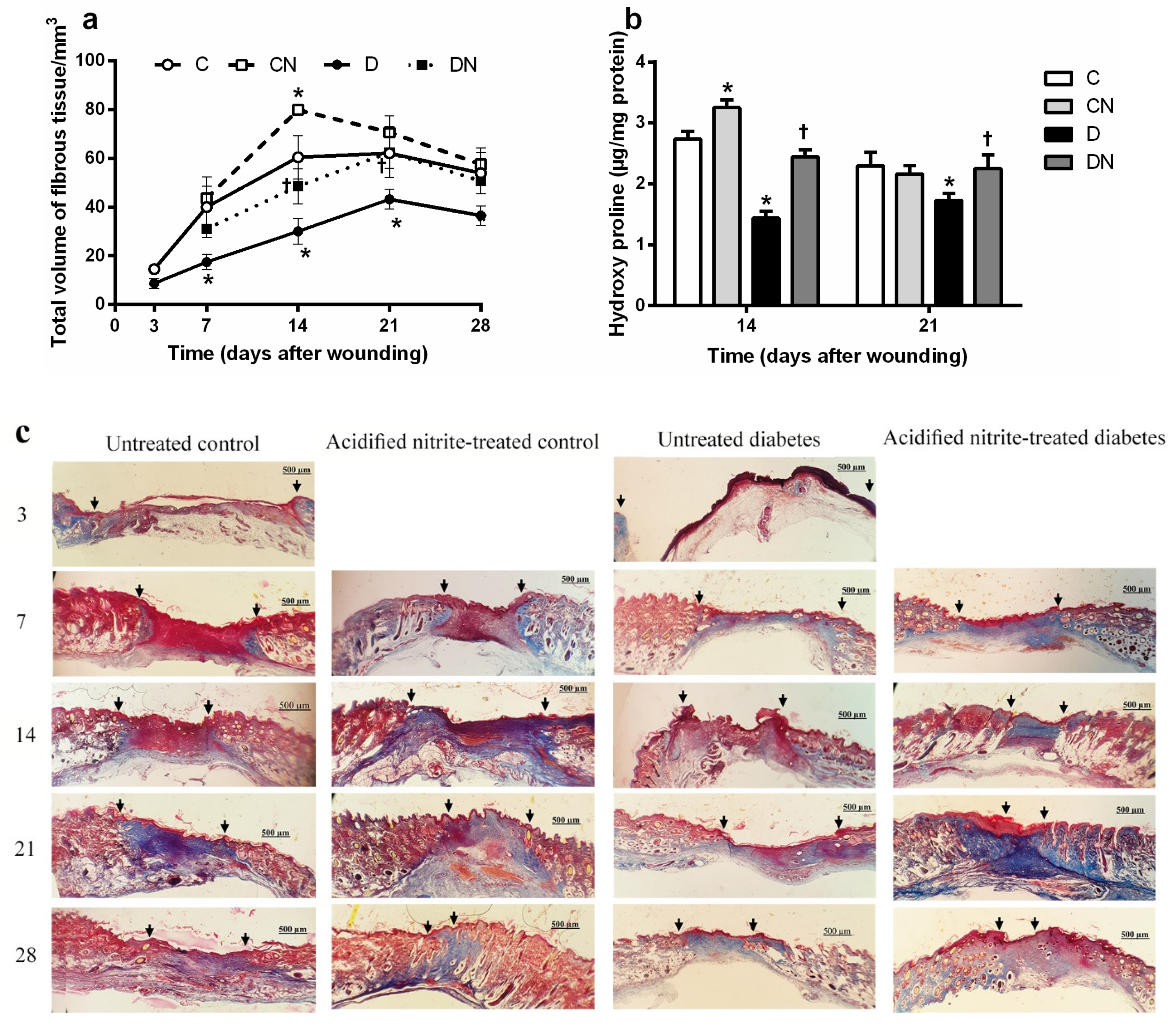 Molecules 26 01872 g007