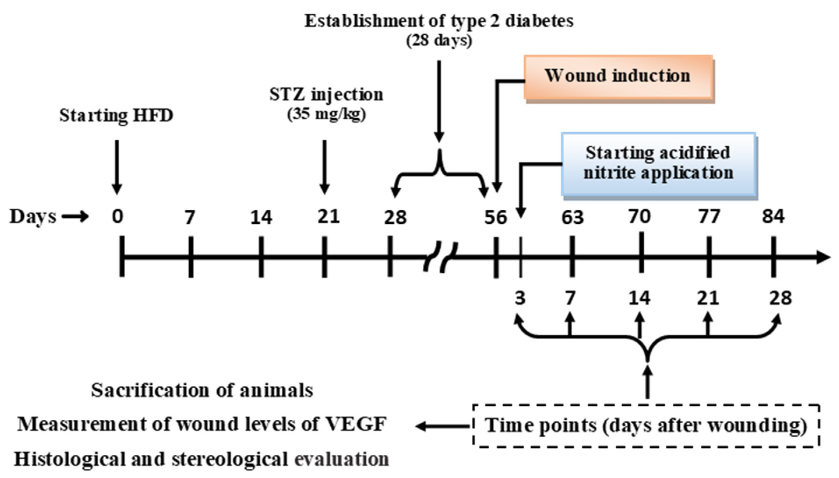 Molecules 26 01872 g008