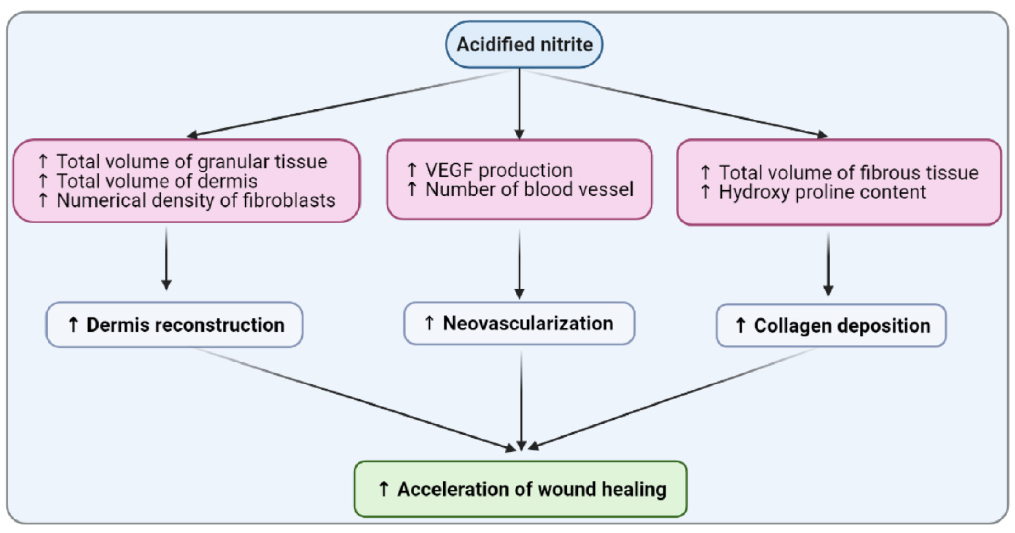 Molecules 26 01872 g009