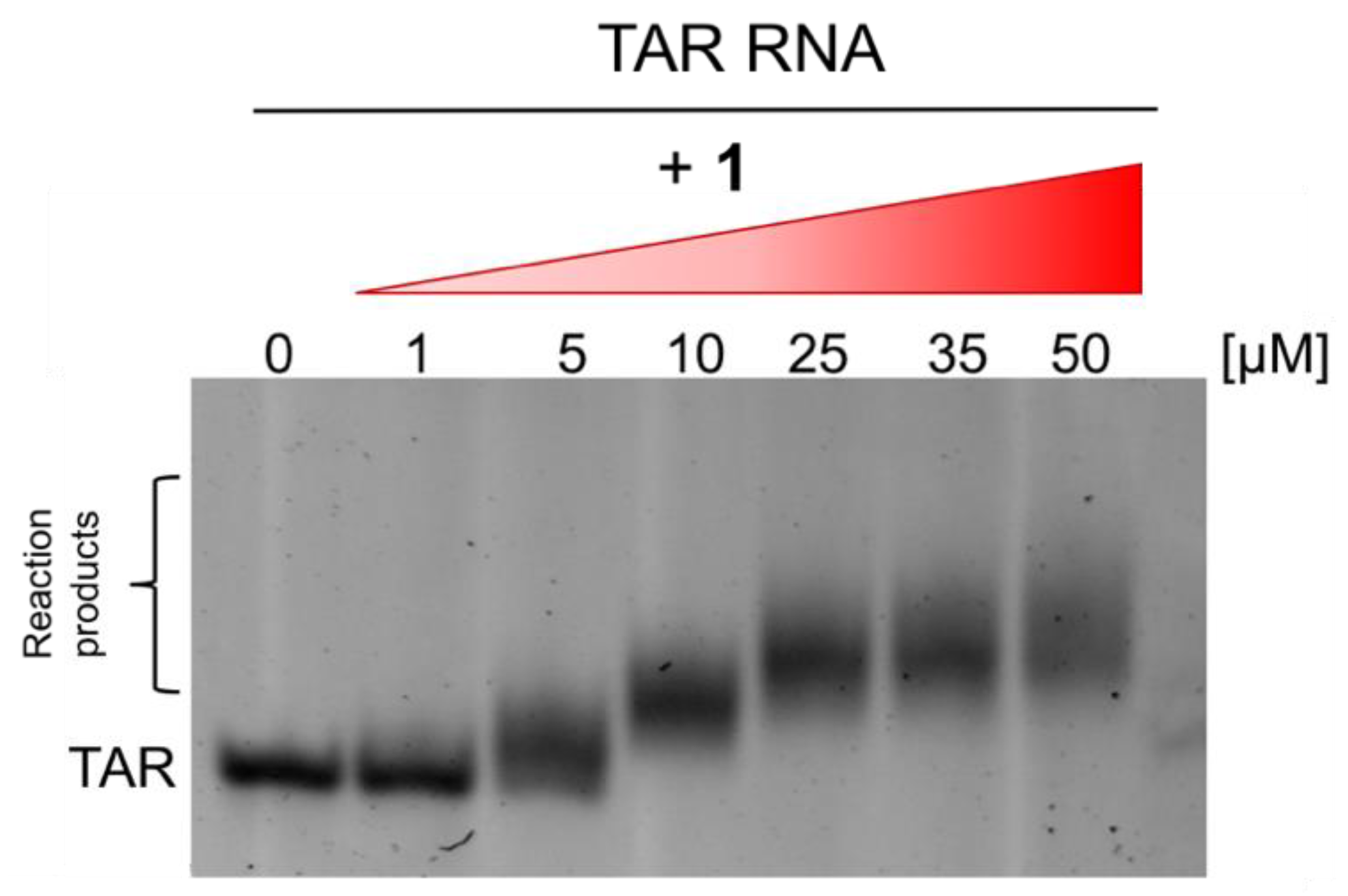 Molecules 26 01874 g003 Molecules 26 01874 g003