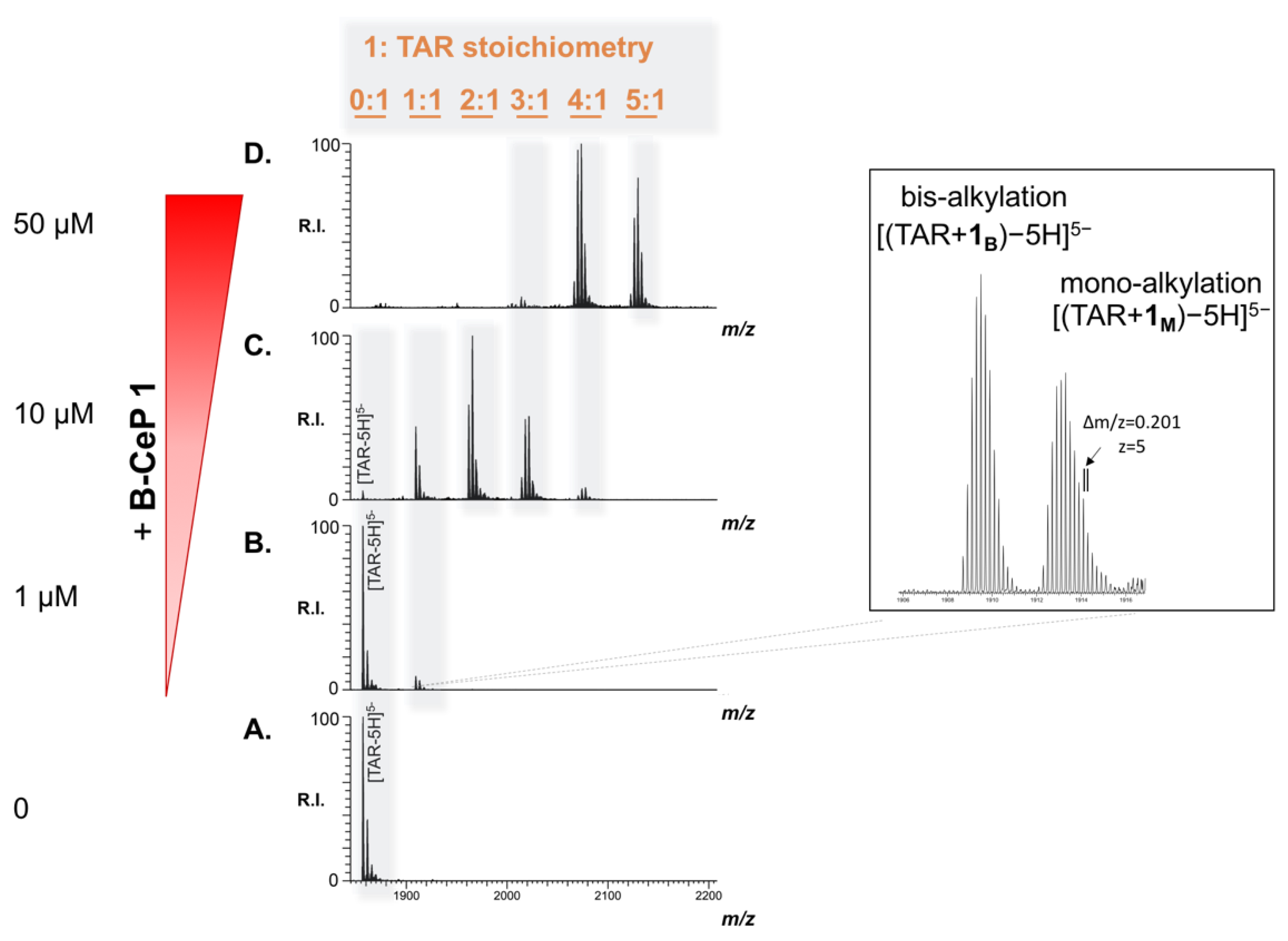 Molecules 26 01874 g004 Molecules 26 01874 g004