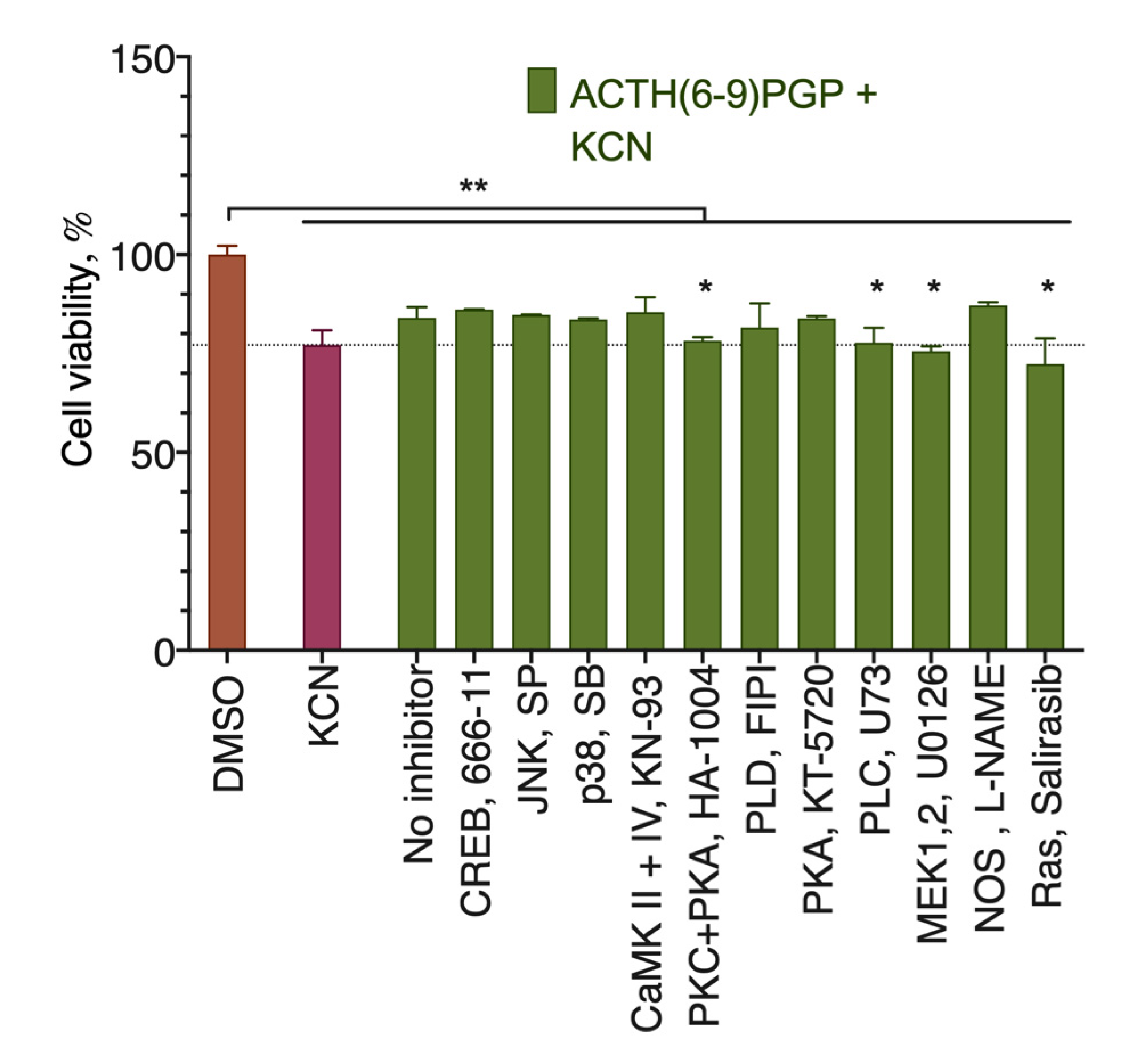 Molecules 26 01878 g004 Molecules 26 01878 g004