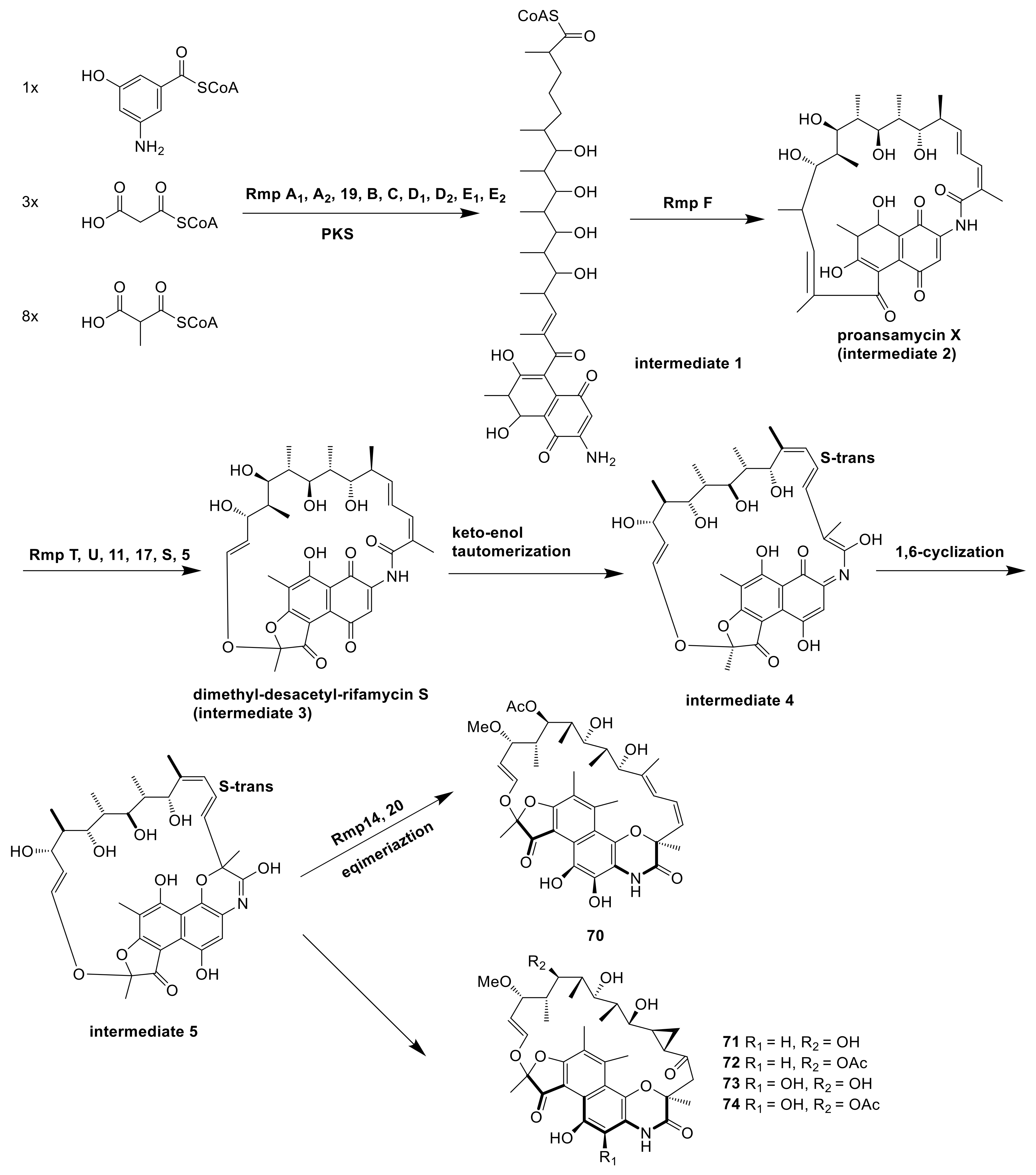 Molecules 26 01884 g010 Molecules 26 01884 g010