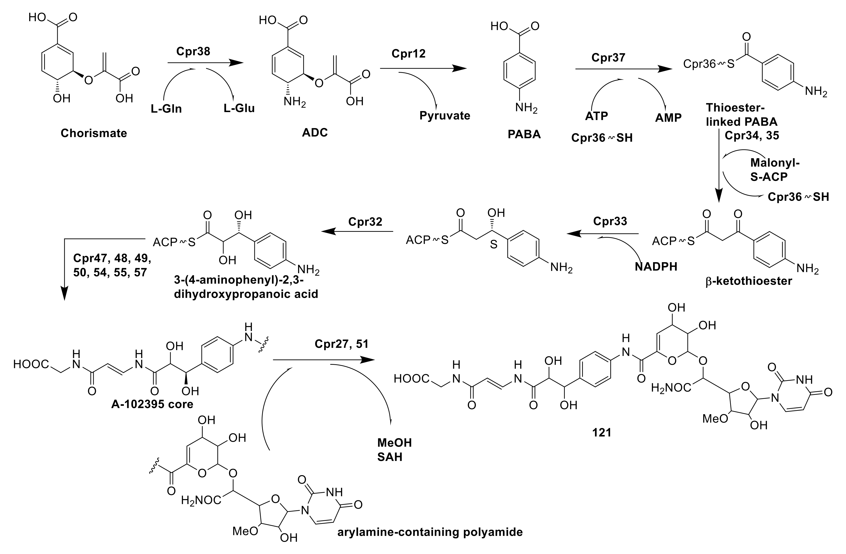 Molecules 26 01884 g011 Molecules 26 01884 g011