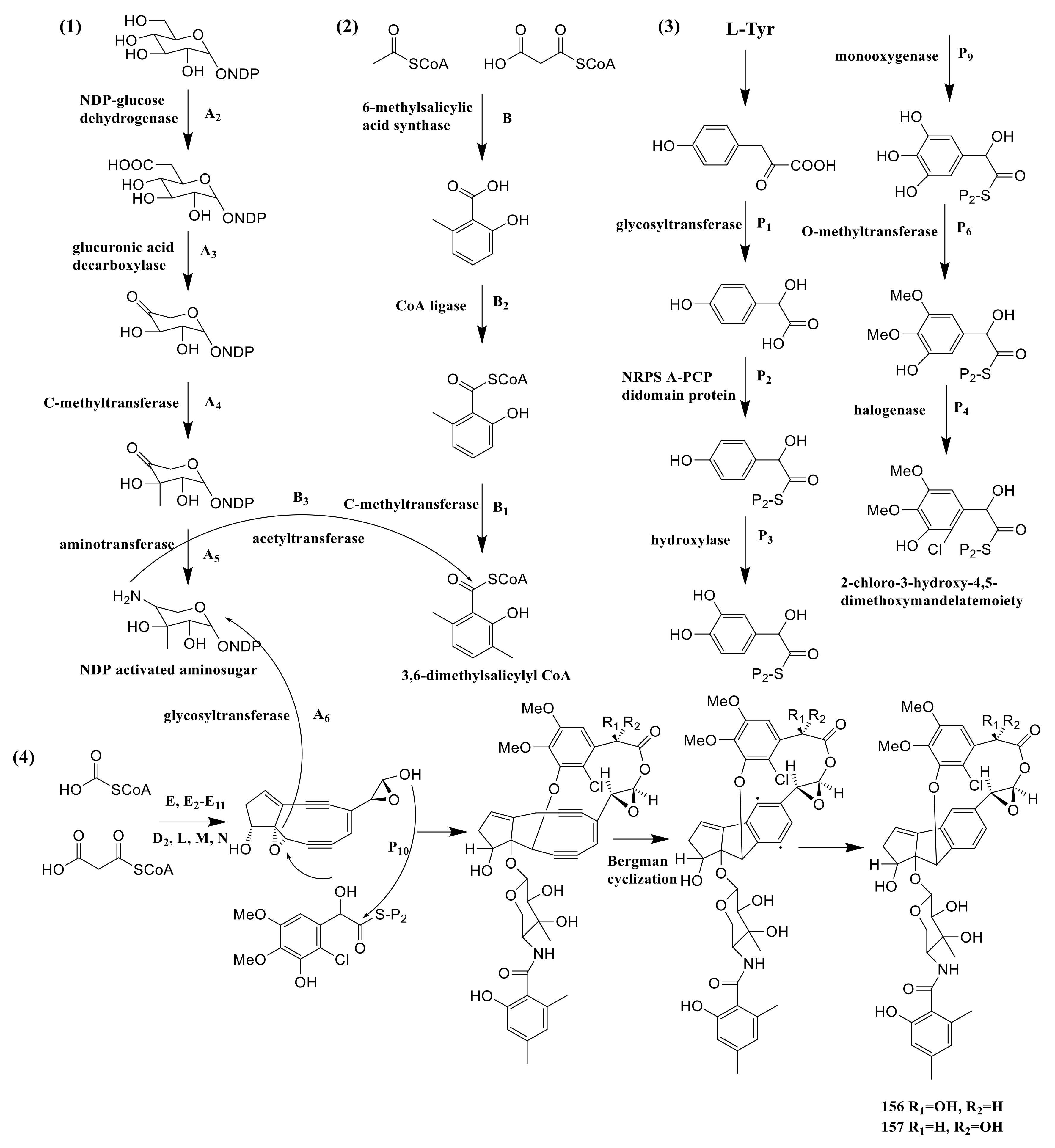 Molecules 26 01884 g012 Molecules 26 01884 g012