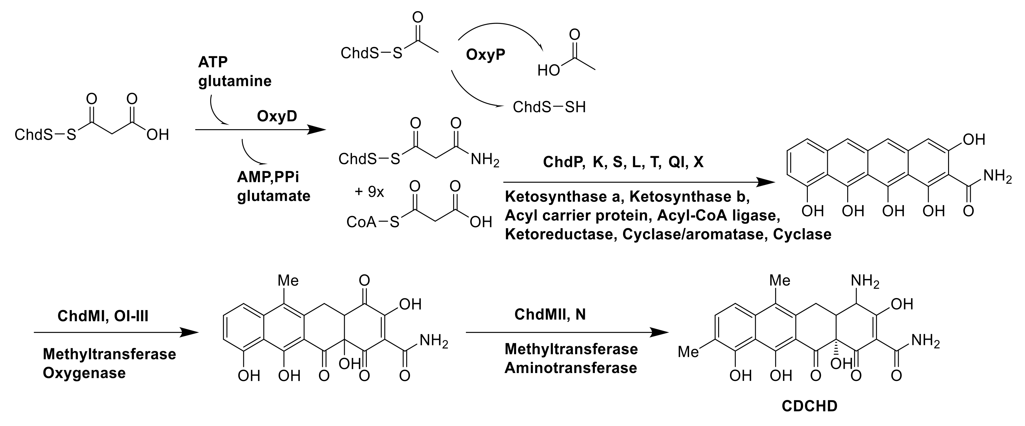 Molecules 26 01884 g015