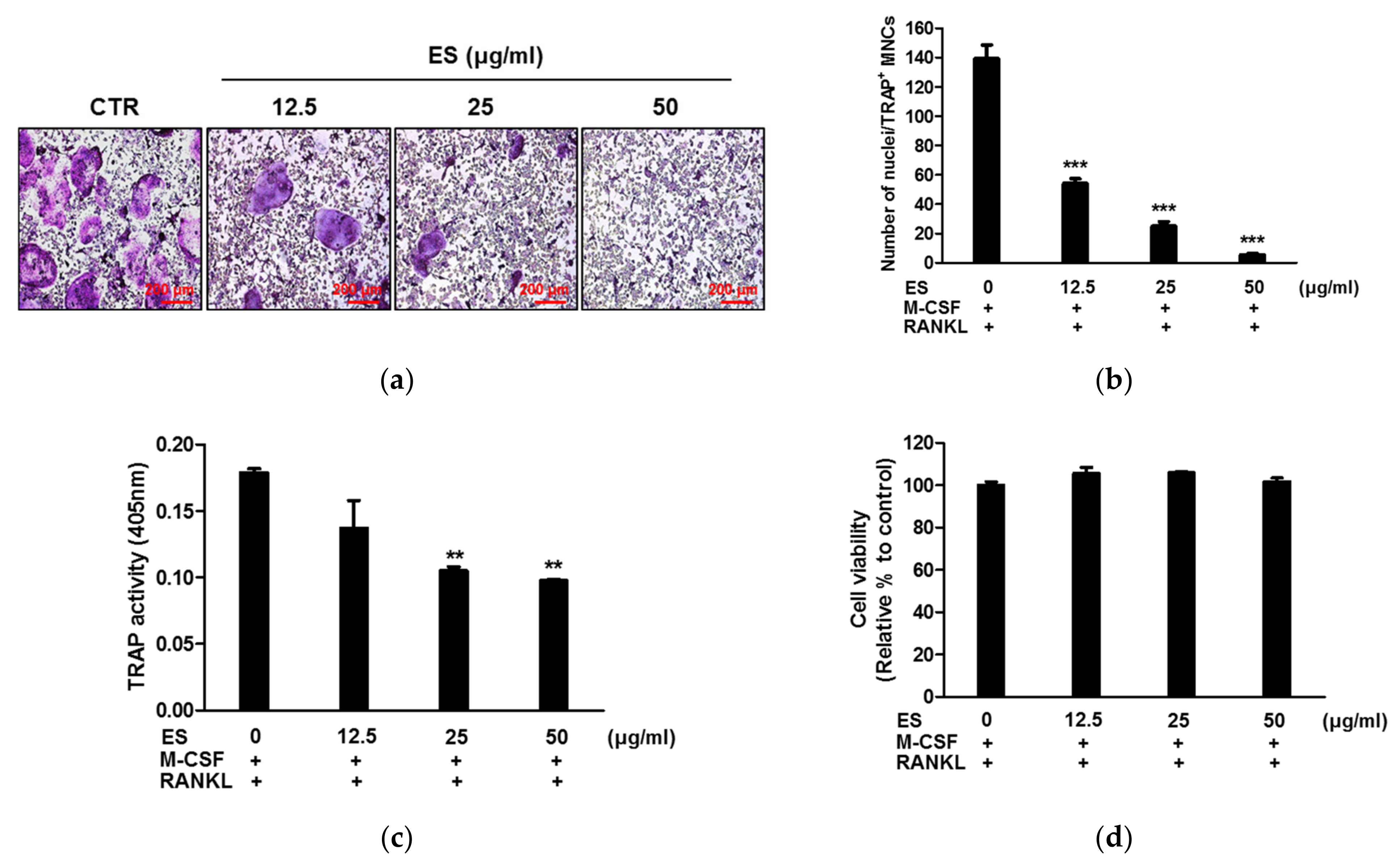 Molecules 26 01886 g002 Molecules 26 01886 g002