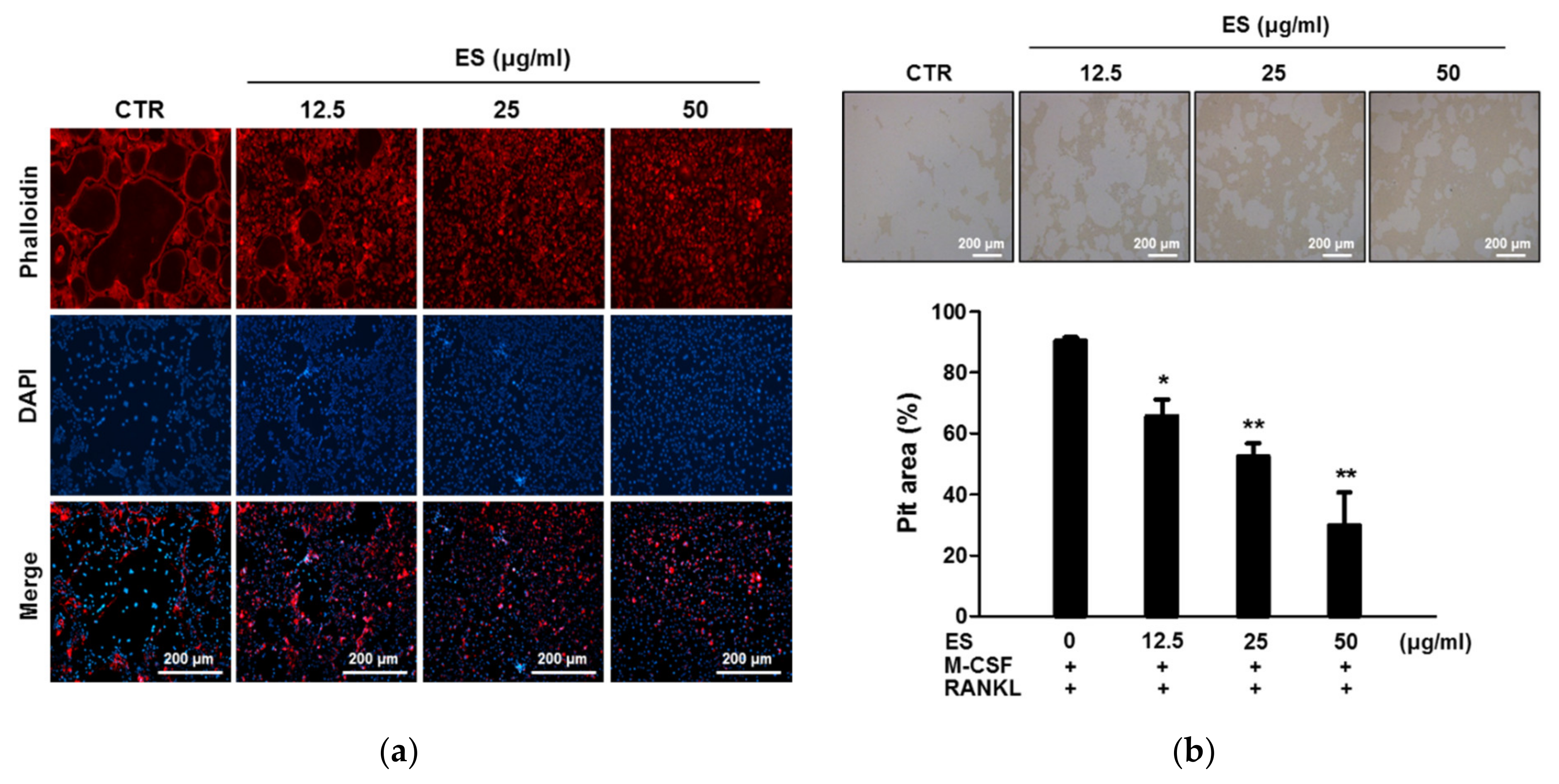 Molecules 26 01886 g003 Molecules 26 01886 g003