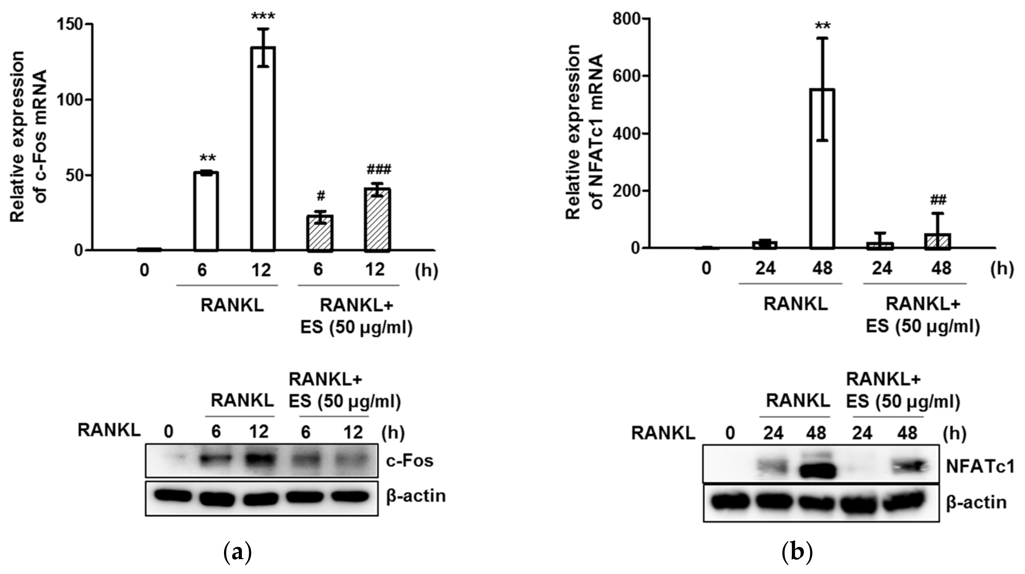 Molecules 26 01886 g004 Molecules 26 01886 g004