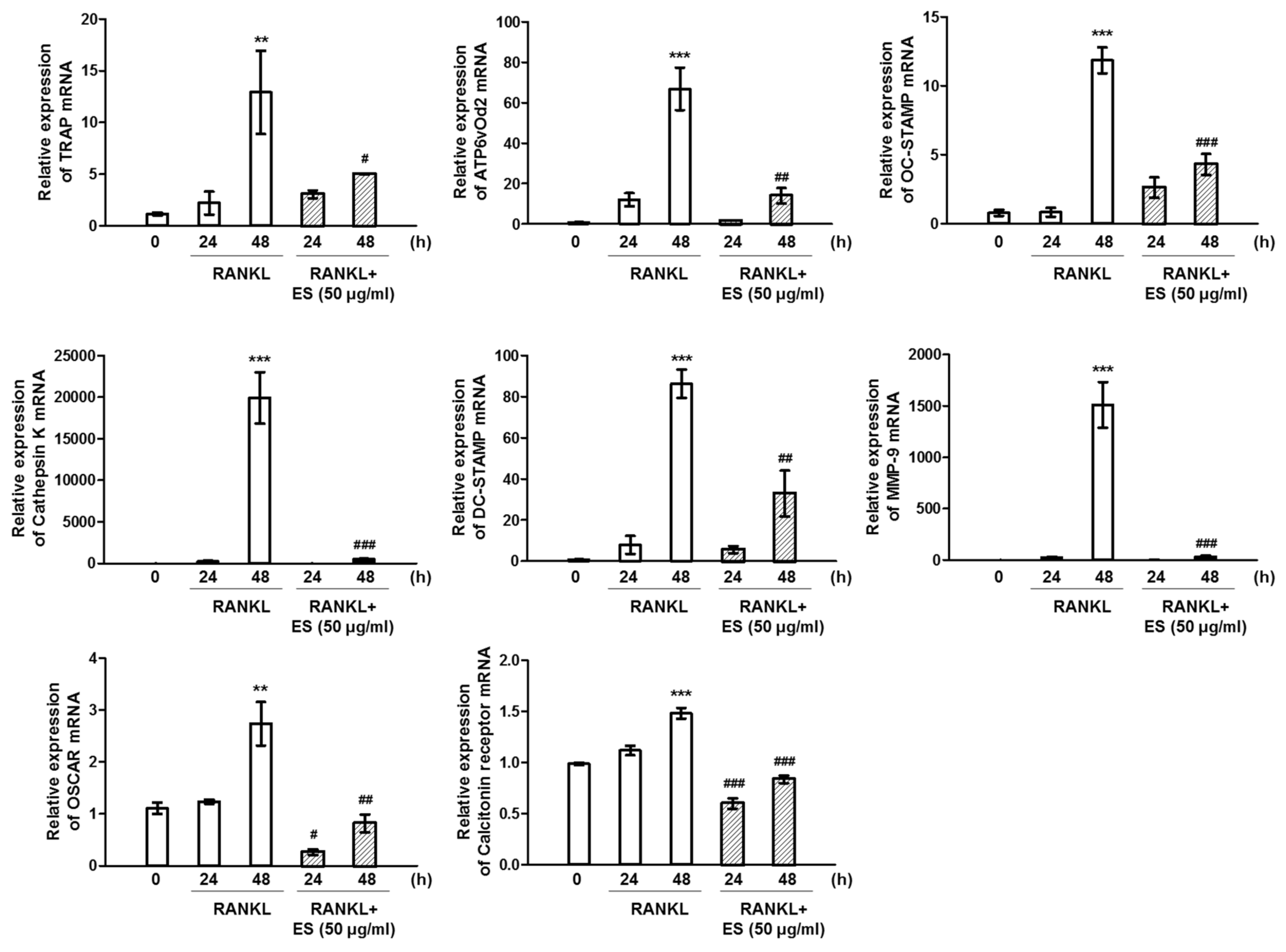 Molecules 26 01886 g005 Molecules 26 01886 g005