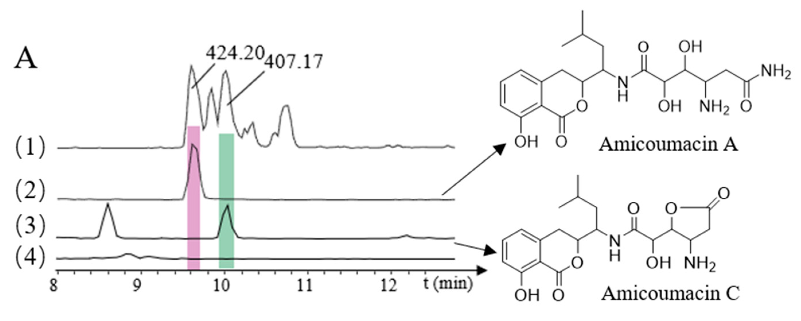 Molecules 26 01892 g003a Molecules 26 01892 g003a